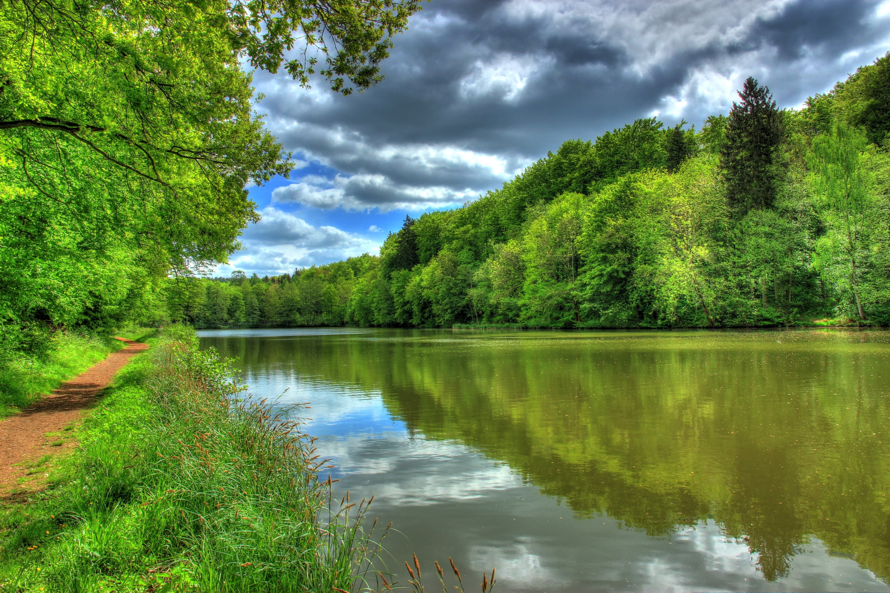 no People, leafed, plant, 2K, germany, sky, summer, idyllic, hessen lich, pond, river, outdoors, park - Man Made Space, trees, rural Scene, woodland, lake, HD Wallpaper