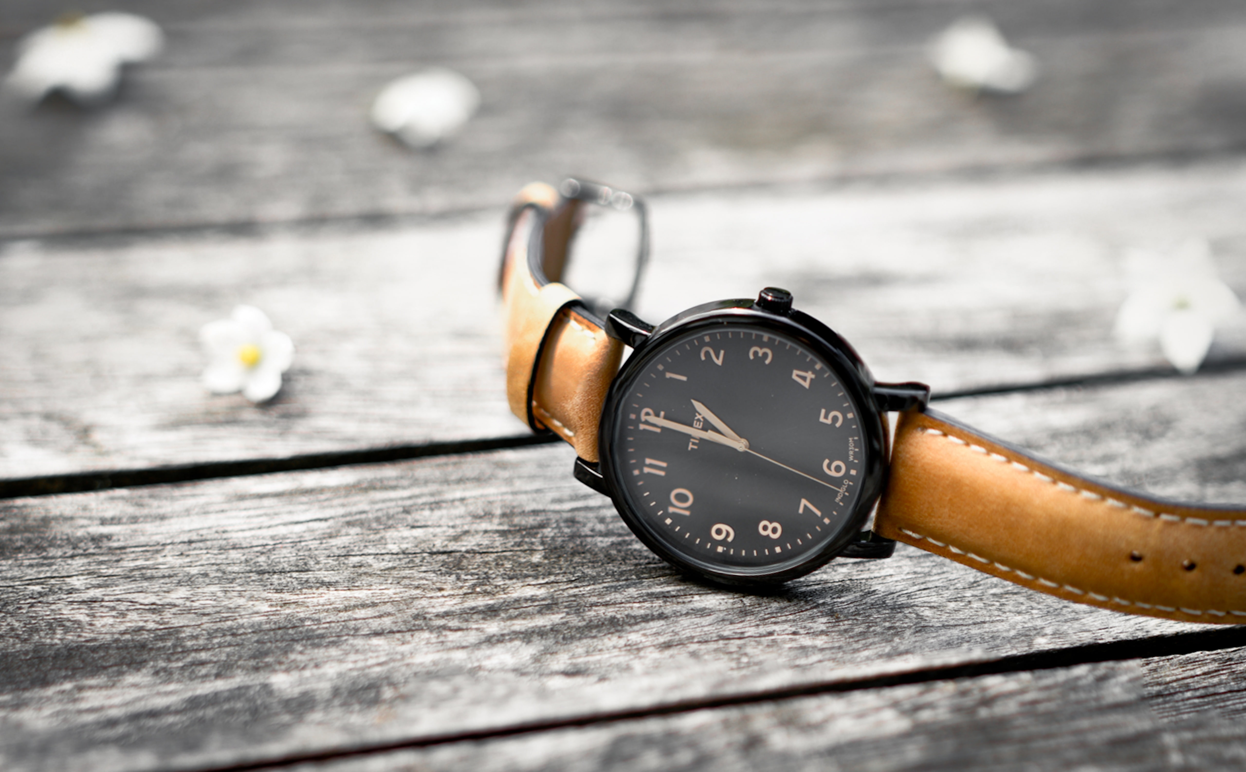 accuracy, close-up, number, wristwatch, table, day, Product, time, strap, nature, Simple, analog, Black, canon, timex, clock, Watch, Leather, landkreiskassel, HD Wallpaper