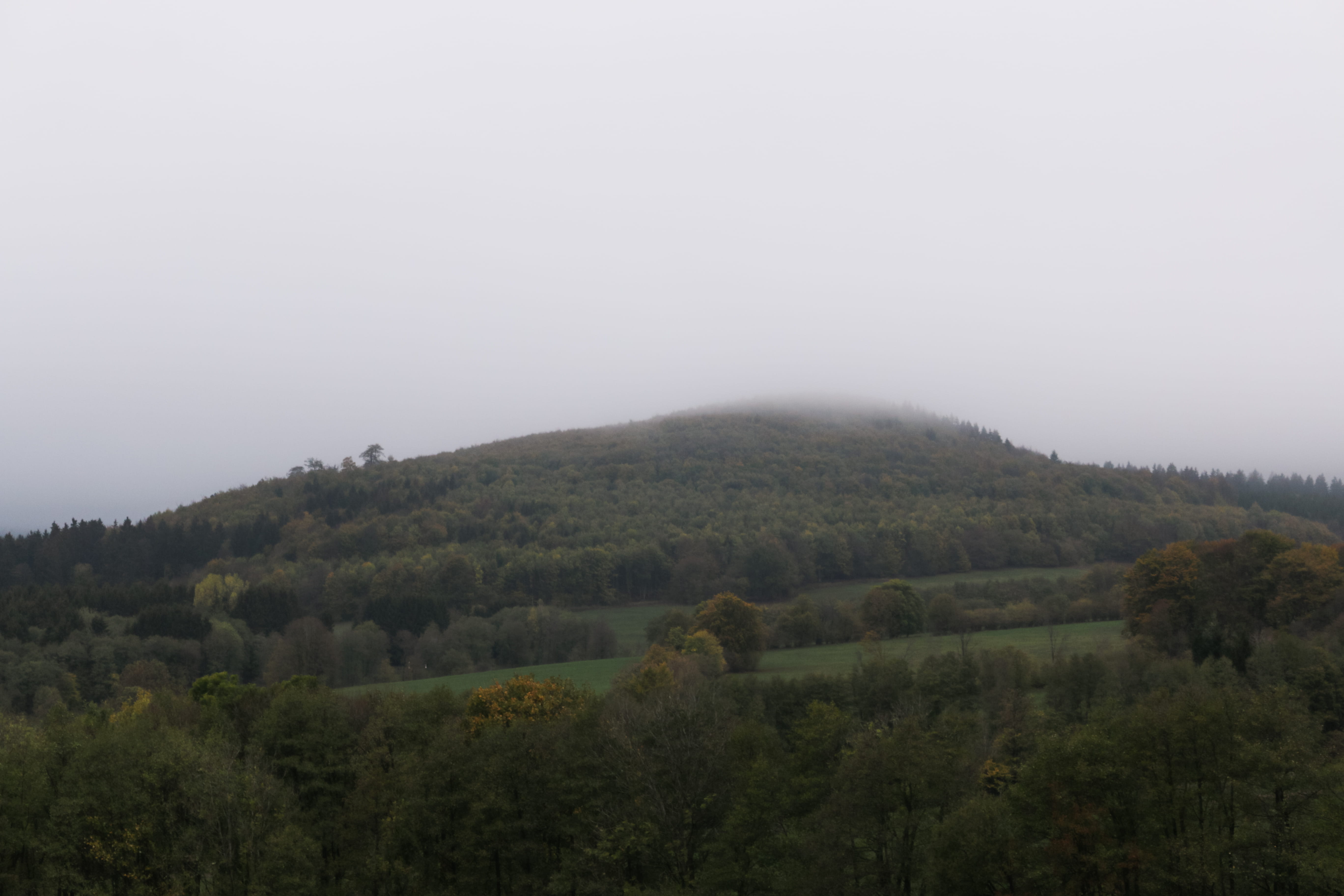 beauty in nature, mist, tranquil scene, hill, landscape, outdoors, scenics - nature, field, autumn, hessen, day, misty, no people, copy space, environment, HD Wallpaper