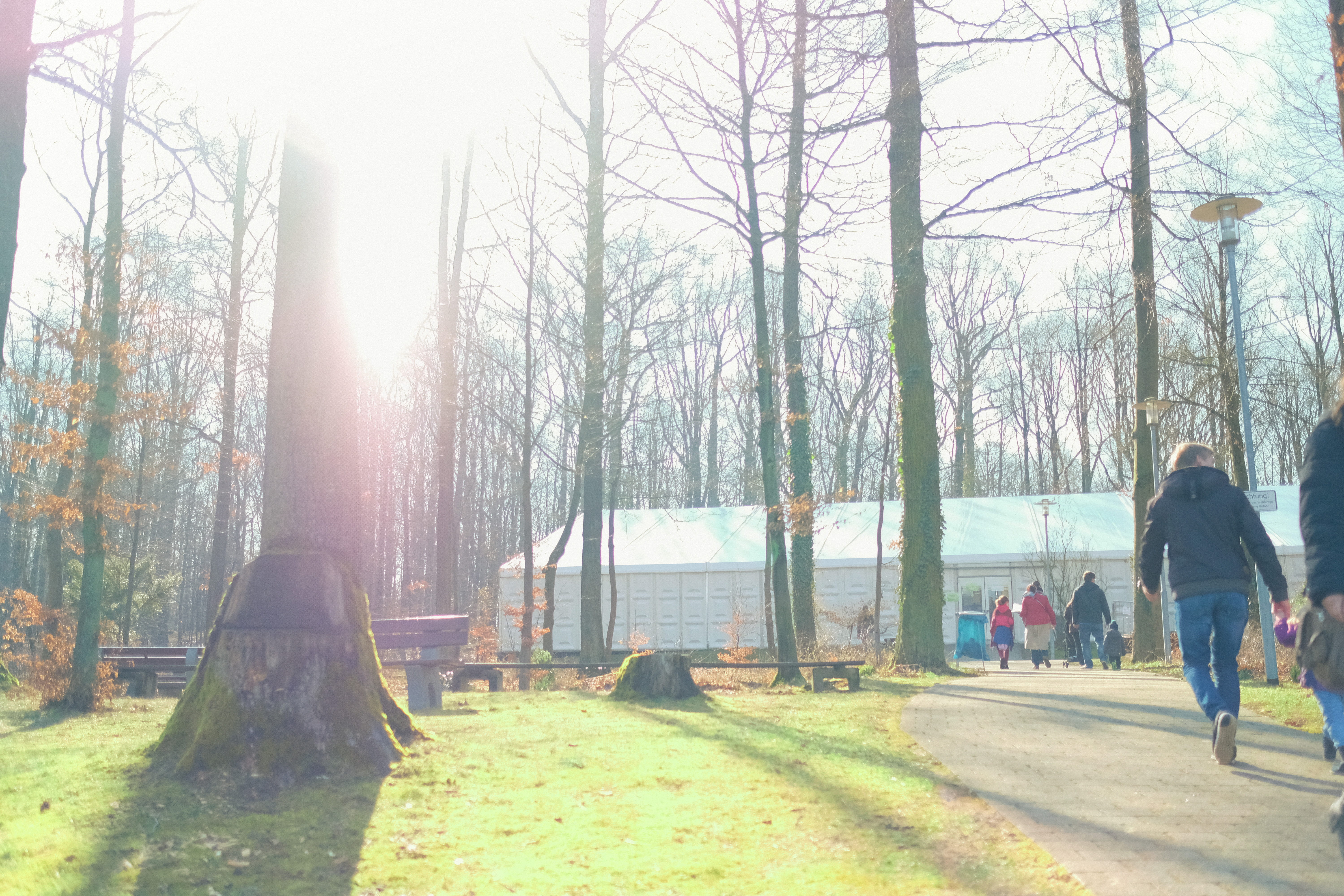 spring, family, full length, 5K, adult, outdoors, sunlight, people, men, ostern, women, konferenz, easter, sonne, nature, tree, lens flare, day, plant, HD Wallpaper