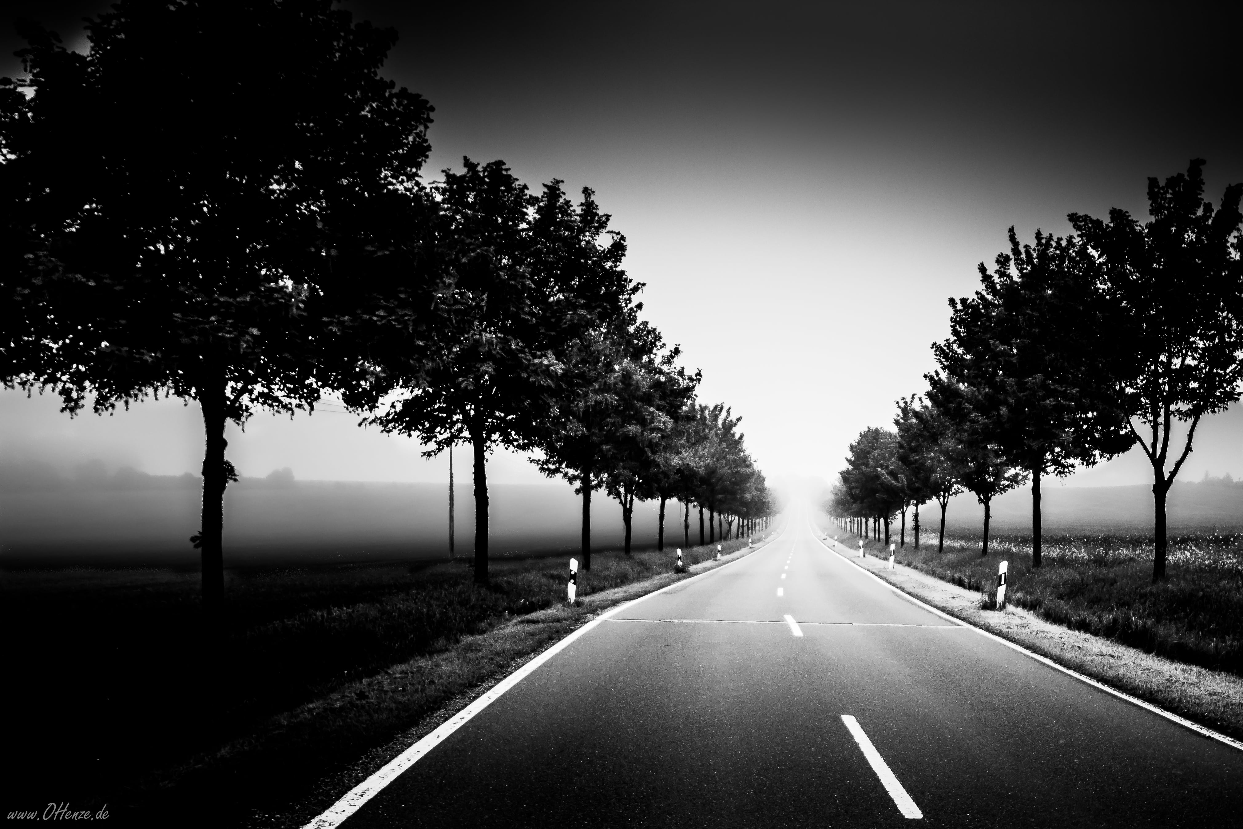 Weg, SW, outdoors, photography, Sachsen-Anhalt, way, KW, Black  White, BW, road, grayscale, 4K, Der, tree, Canon  EOS, Schwarz  Weiss, black And White, HD Wallpaper