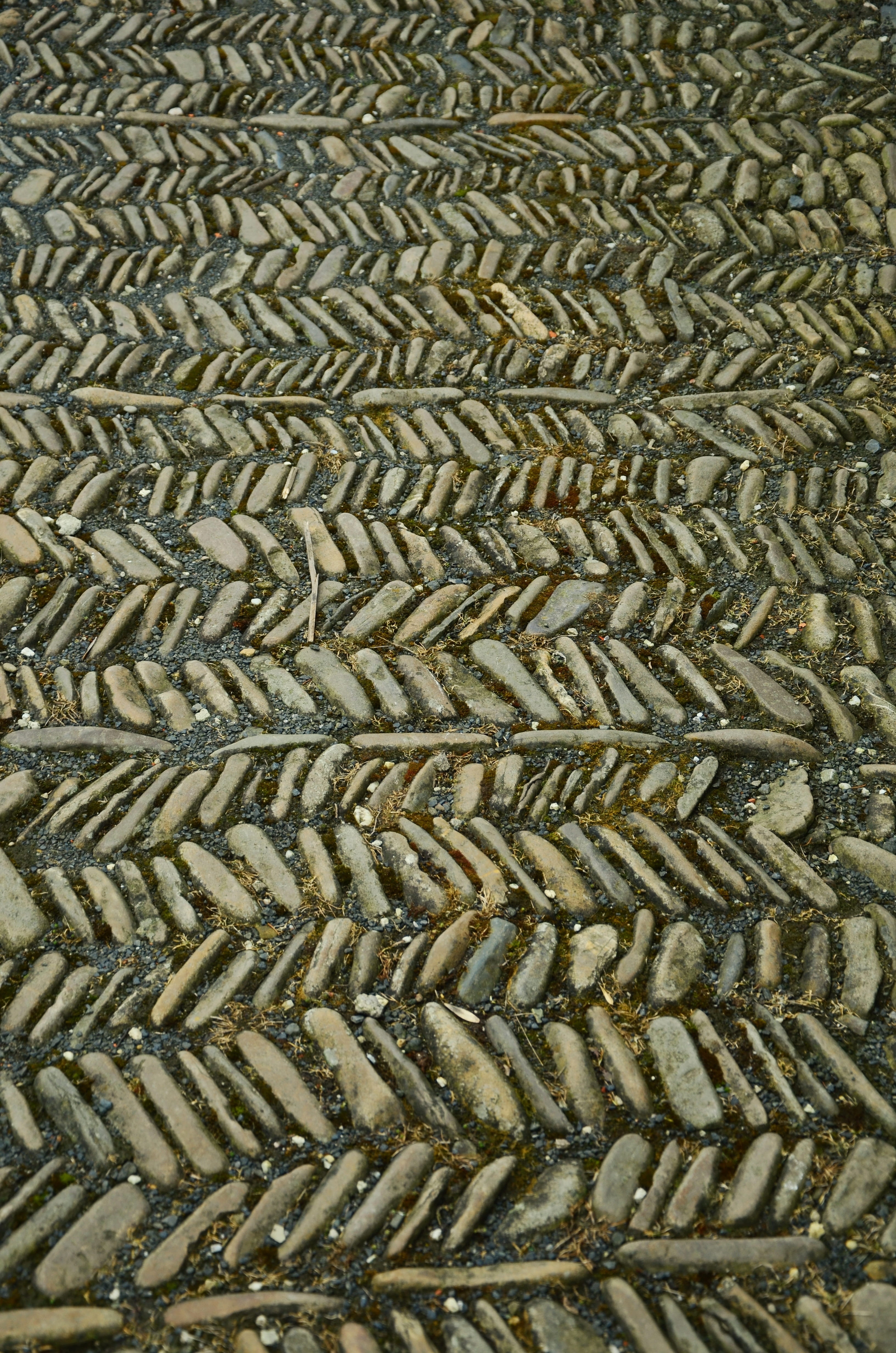 design, backgrounds, metal grate, full frame, area, iron - metal, grid, nature, Away, repetition, structure, no people, alter weg, seafood, close-up, rusty, Phone HD Wallpaper