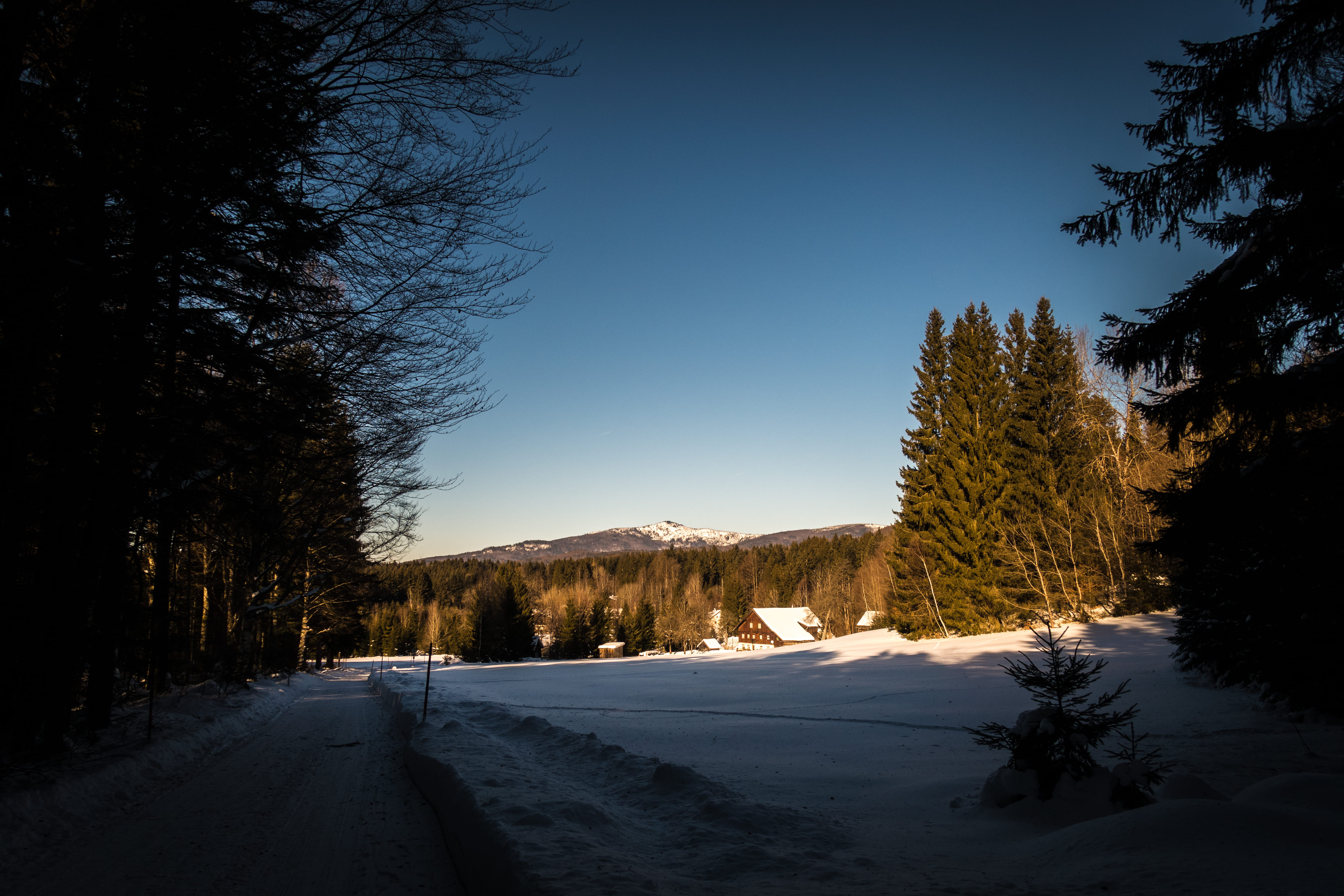 covering, clear sky, snow, winter, outdoors, transportation, nature, 5K, mountain, forest, beauty in nature, no people, sky, tree, snowcapped mountain, HD Wallpaper