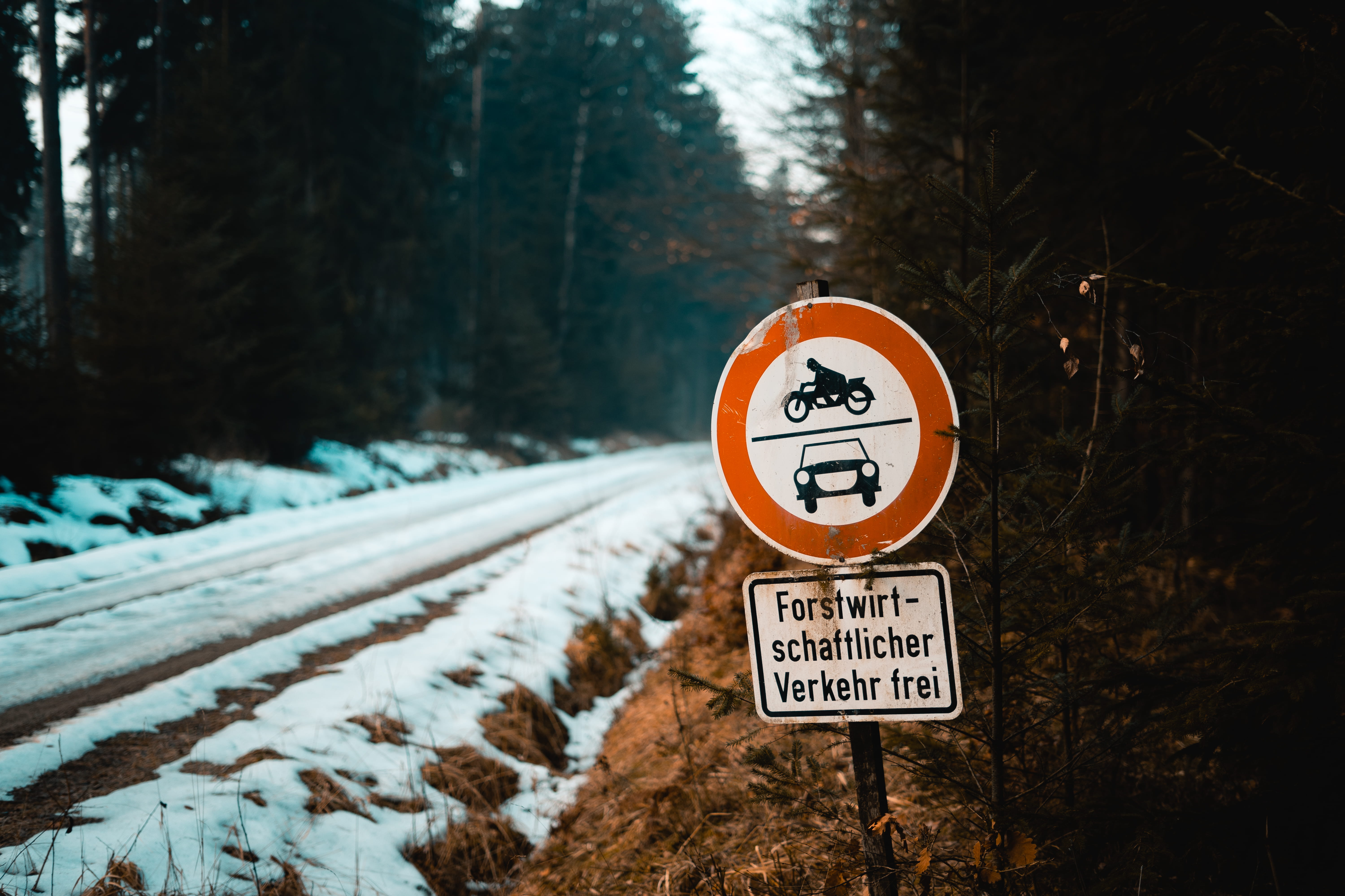 road sign, weather, communication, tree, day, cold temperature, symbol, cold, schnee, car, signage, wood, covering, sign, nature, wetter, straße, guidance, HD Wallpaper