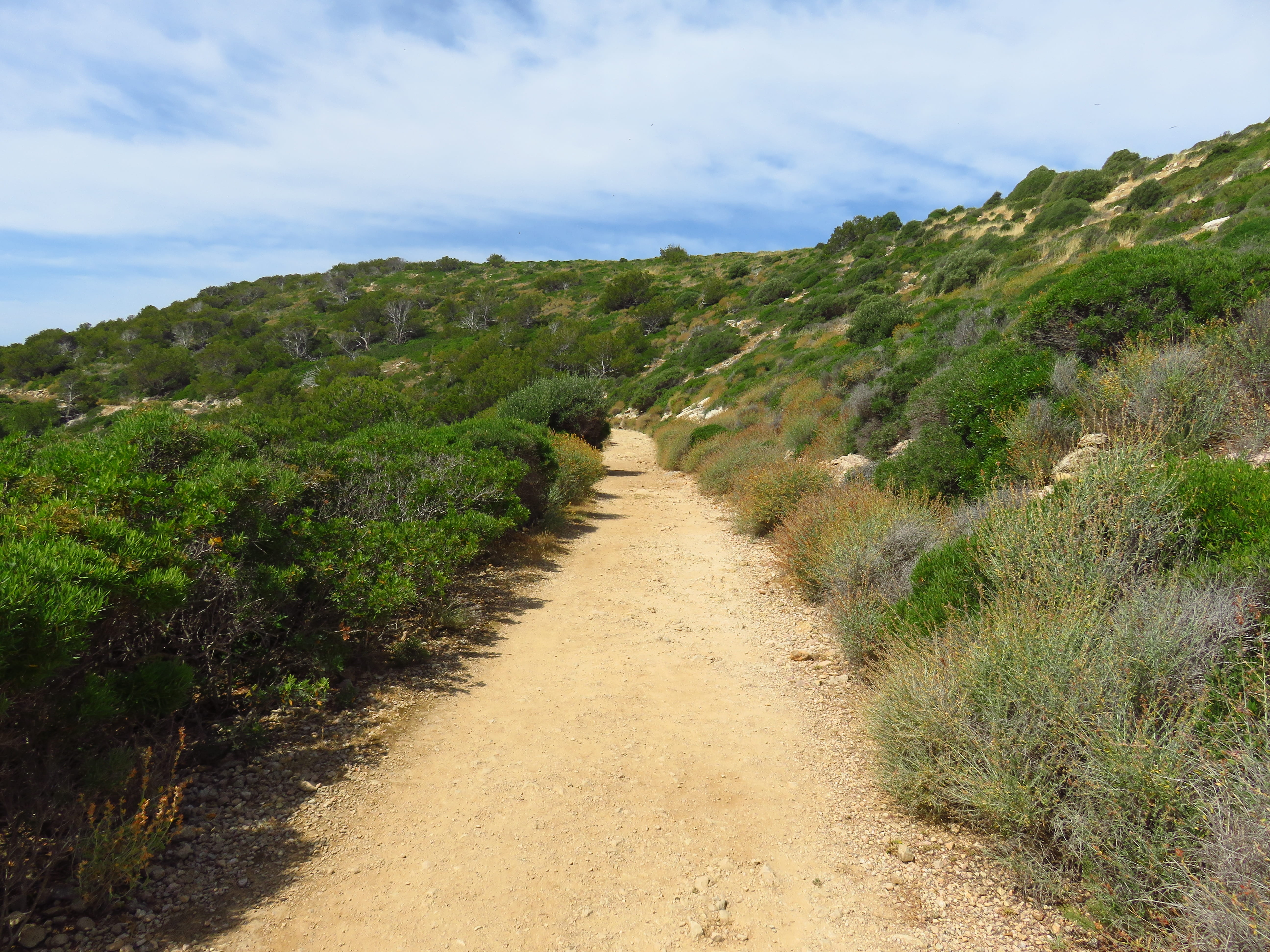 day, tranquility, alter weg, on foot, lane, trail, walk, scenics - nature, outdoors, nature, sky, holiday, land, mediteran, mallorca, panorama, mediterranean, HD Wallpaper