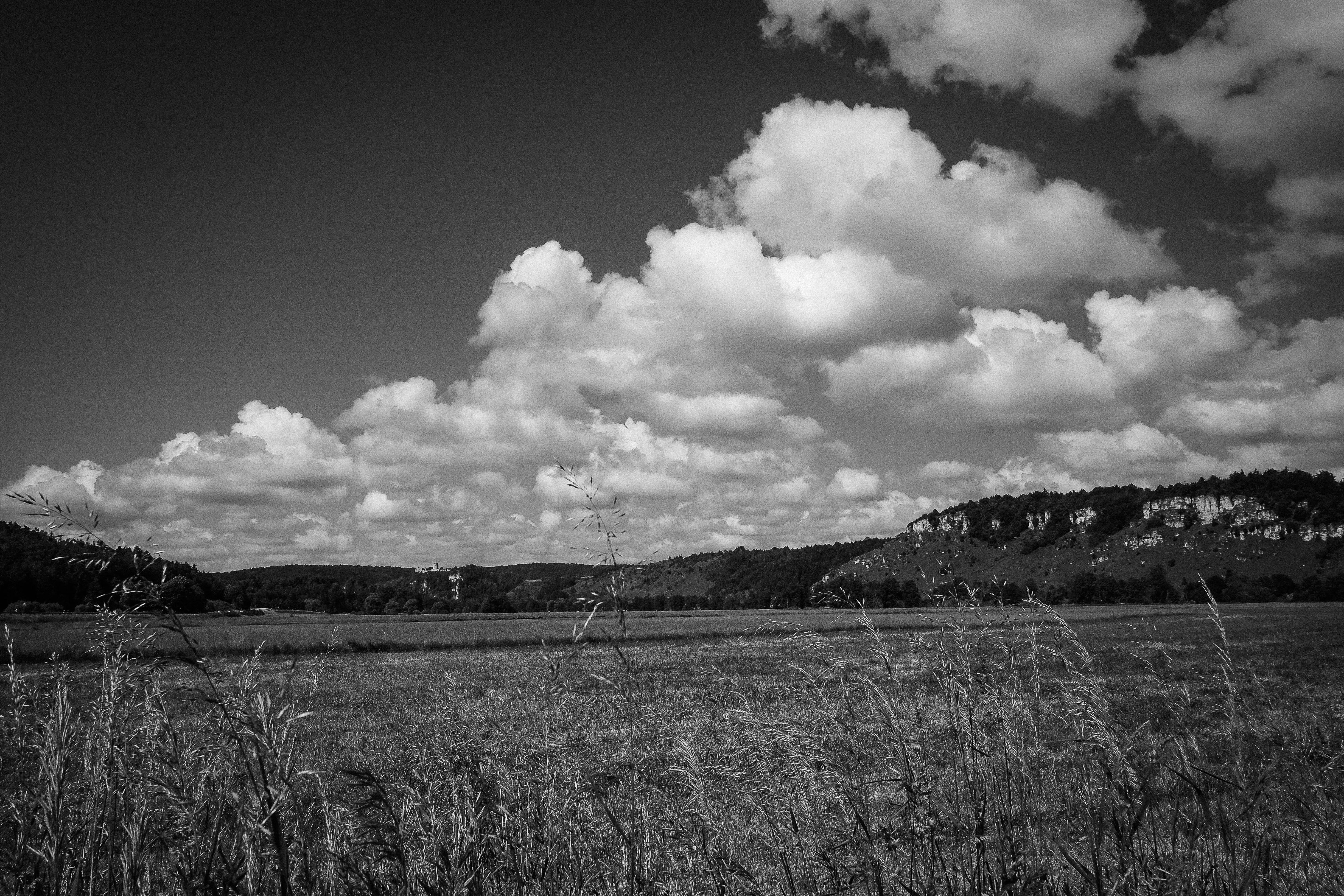 meadow, cloudy, tree, way, bayern, greyscale, bavaria, sky, photo, outdoors, weg, oberpfalz, grass, rural Scene, nature, landscape, field, 4K, clouds, HD Wallpaper