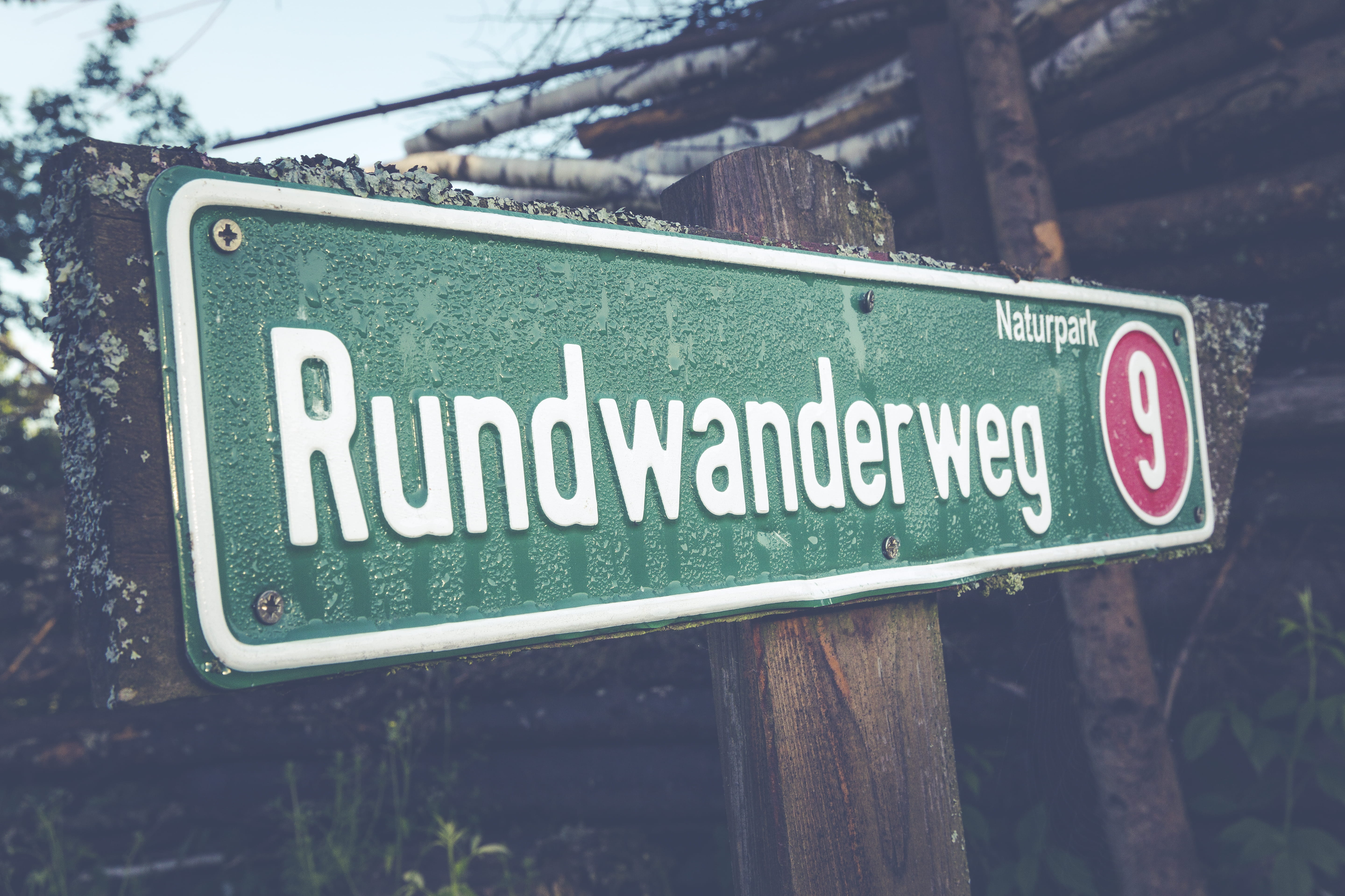 script, placard, focus on foreground, non-western script, no people, information sign, weg, message, road sign, day, communication, western script, outdoors, HD Wallpaper