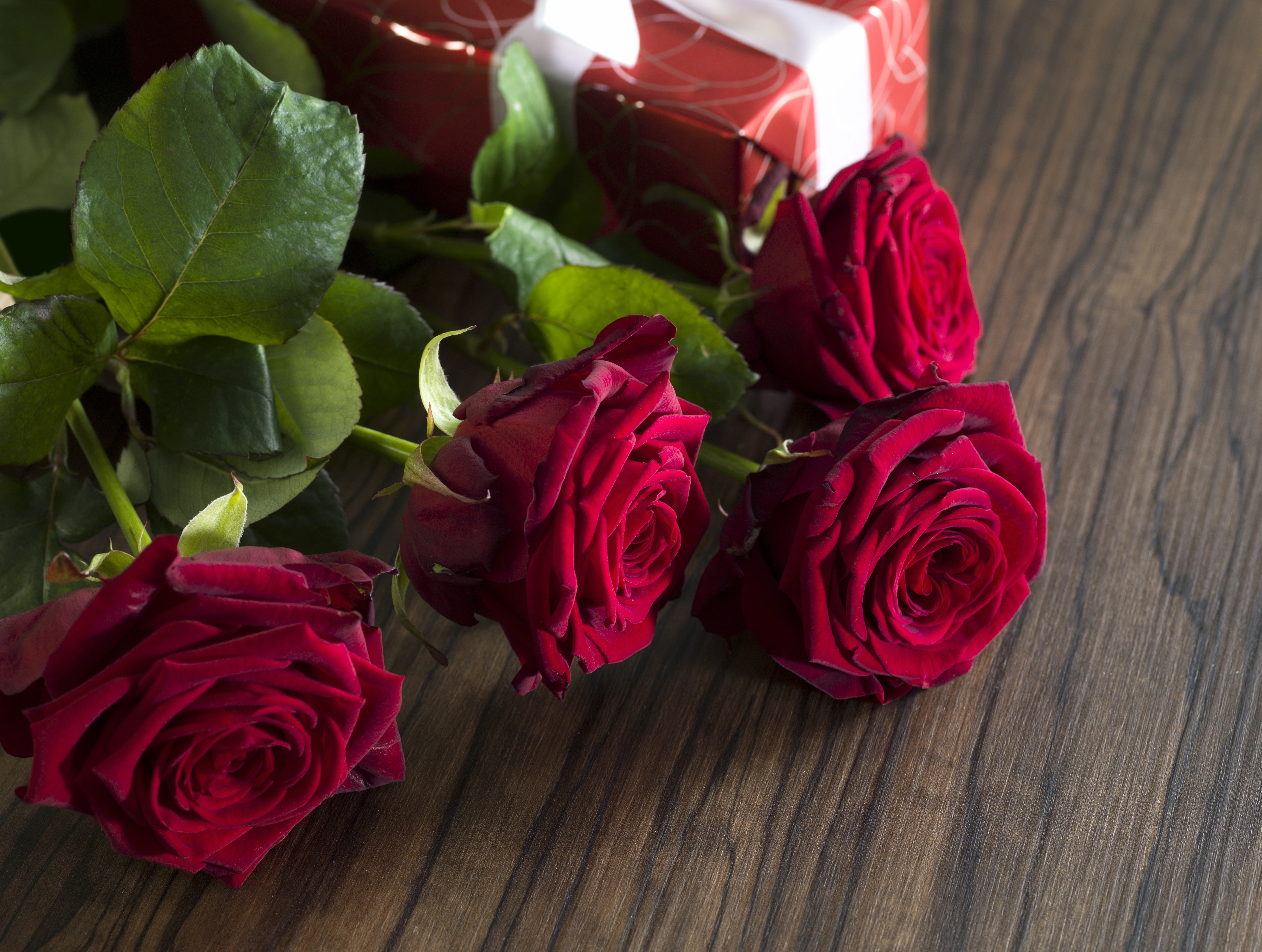 romantic, roses, red, valentine`s day, gift, red roses, love, 5K, HD Wallpaper