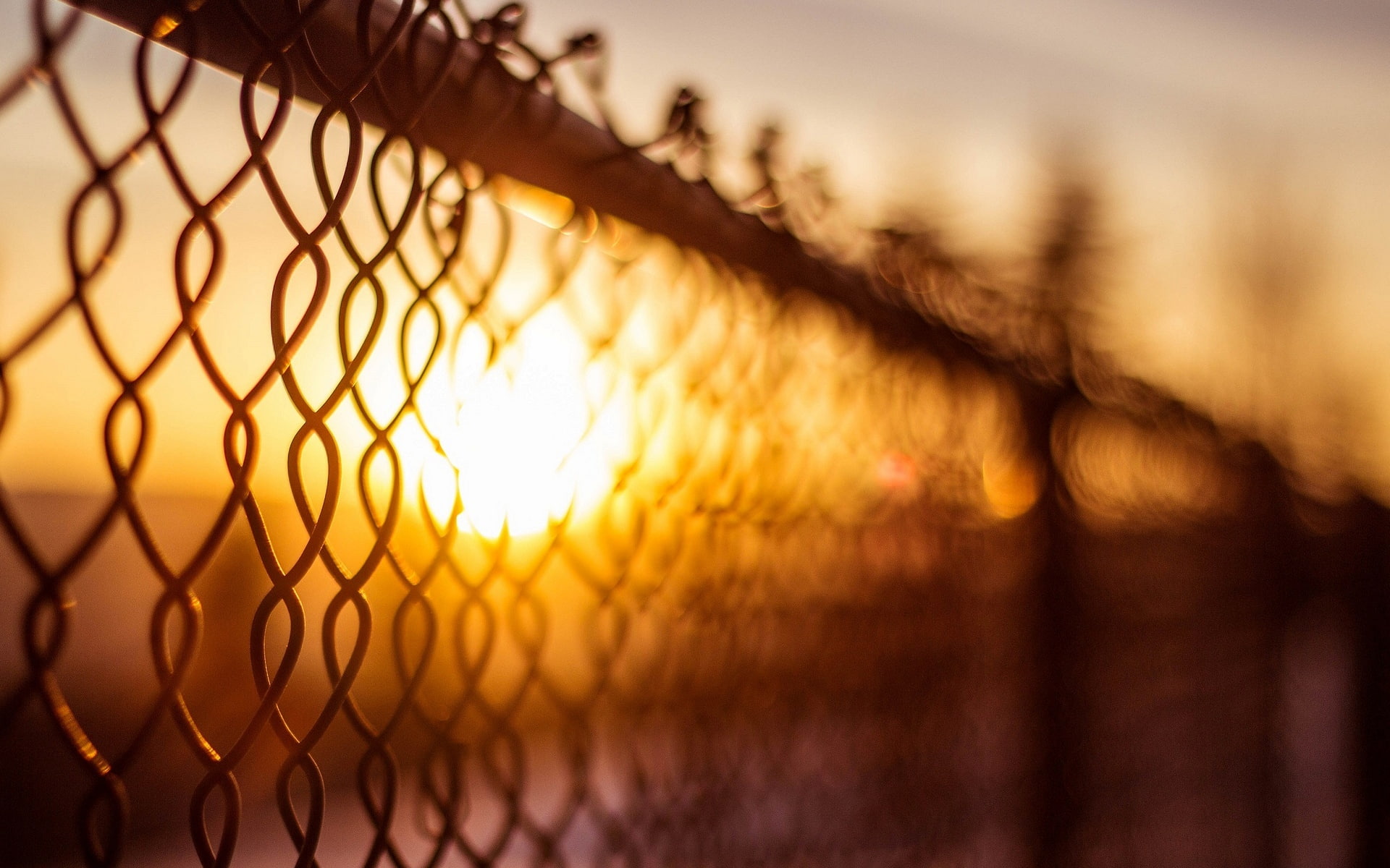 sun, fence, mesh, macro, blur, day, bokeh, full screen, background, 1080P, s, the sun, the fence, fullscreen, widescreen, HD Wallpaper