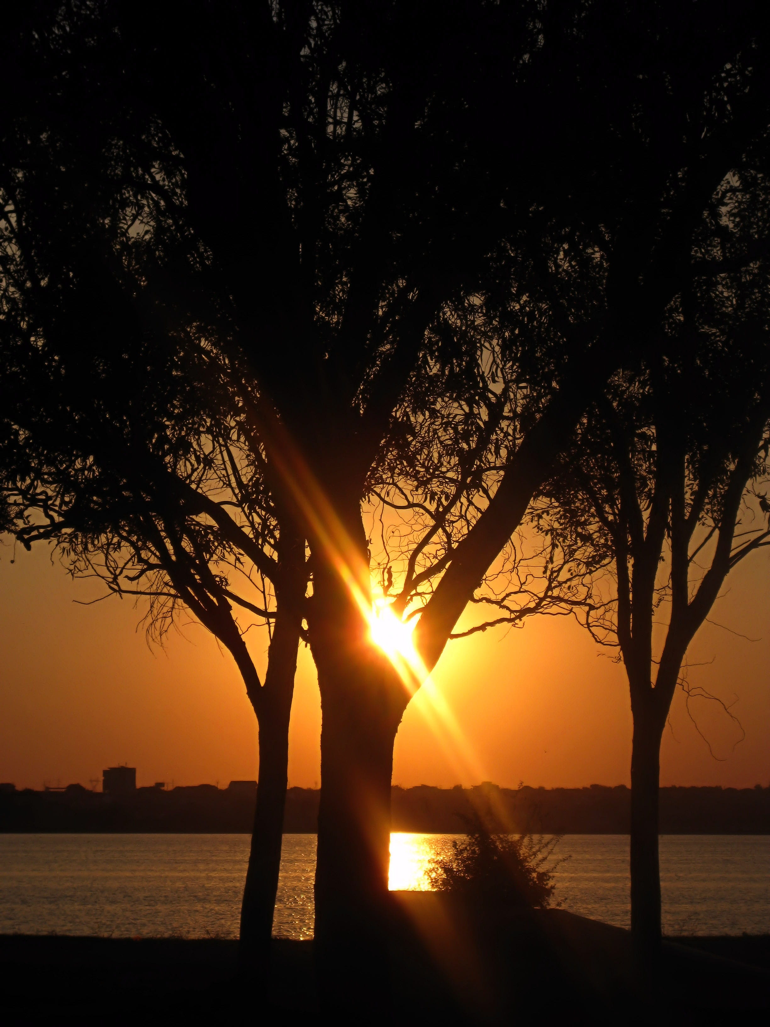 flash, nature, idyllic, orange, sky, lake, beauty in nature, outdoors, sunlight, lens flare, tranquility, scenics - nature, 2K, sun, tranquil scene, silhouette, Phone HD Wallpaper