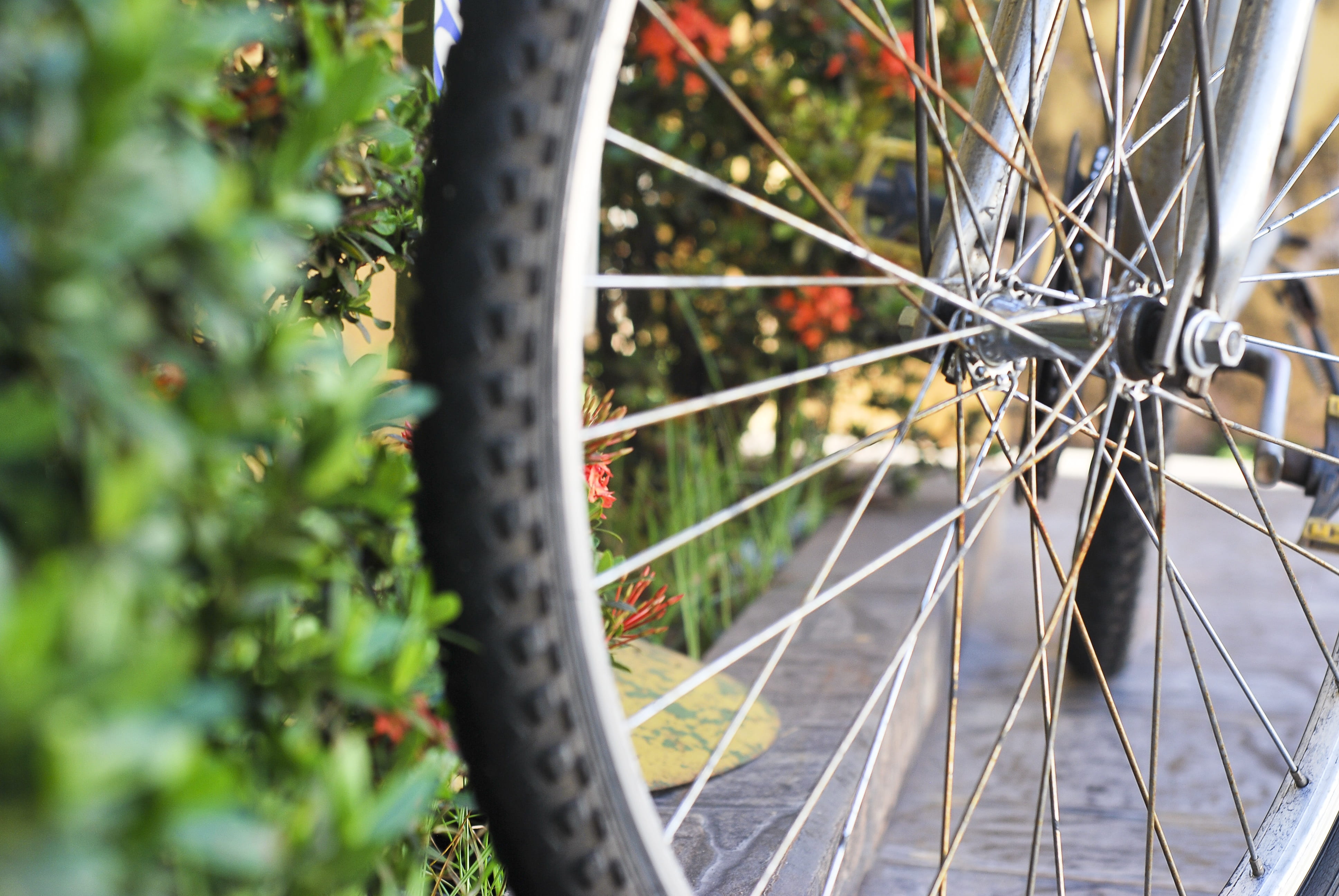 perspective, land vehicle, close-up, metal, vehicle part, stationary, garden, plants, nature, 4K, outdoors, plant, pedal, tire, day, bicycle, radius, travel, HD Wallpaper