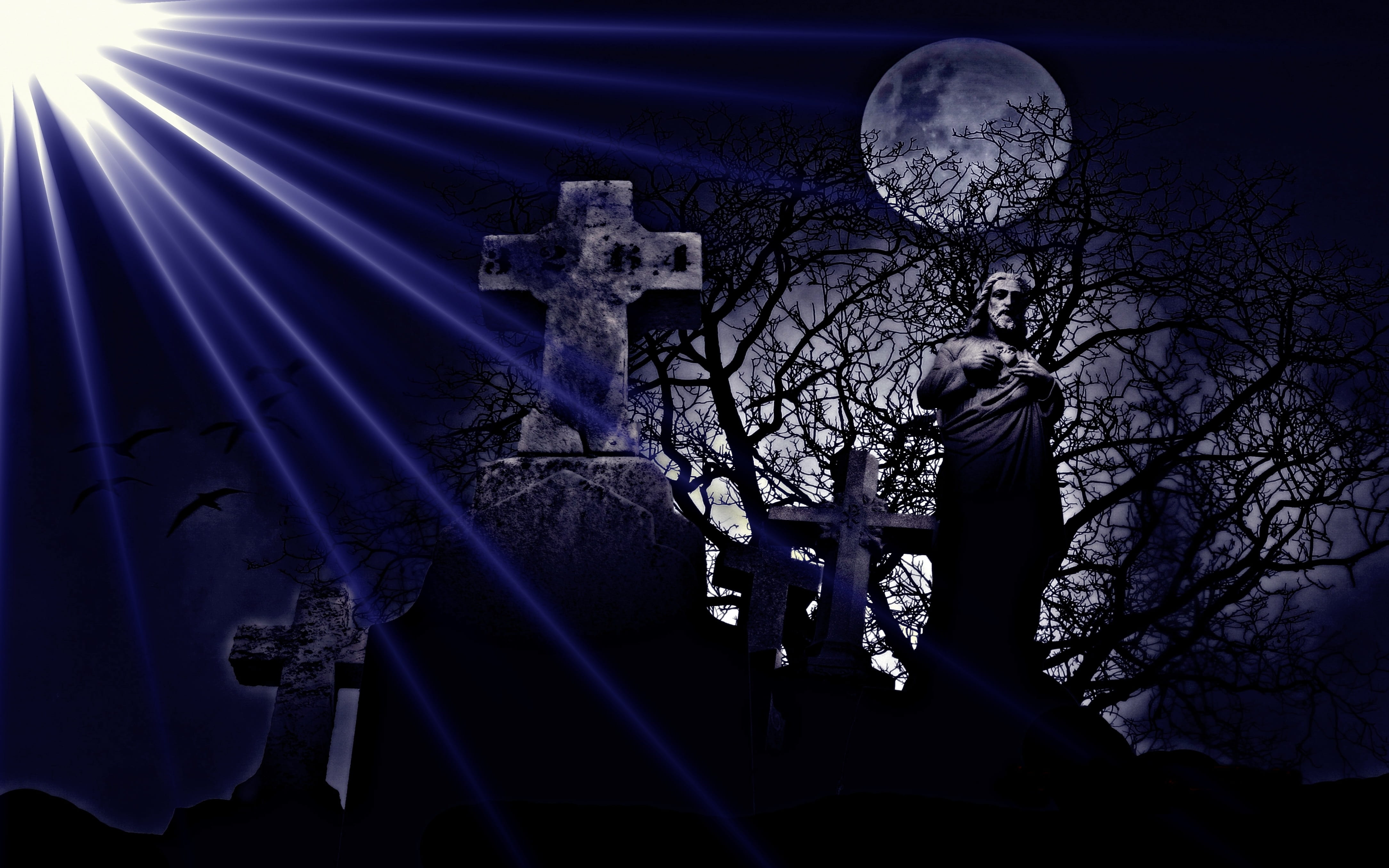 plant, dark, moonlight, nature, 4K, tree, arts culture and entertainment, handling, outdoors, adult, one person, three quarter length, illuminated, light, HD Wallpaper