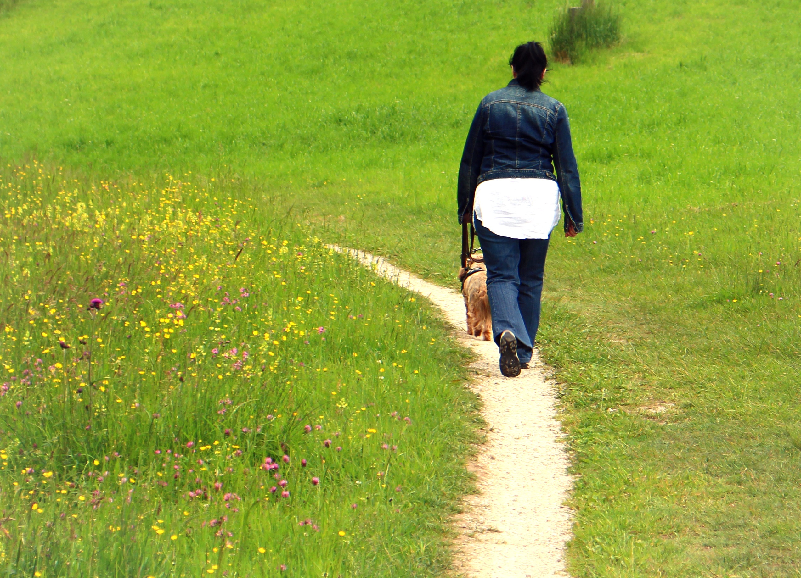 walking, green color, nature, adult, 1080P, real people, outdoors, growth, full length, one person, leisure activity, person, footpath, beauty in nature, HD Wallpaper