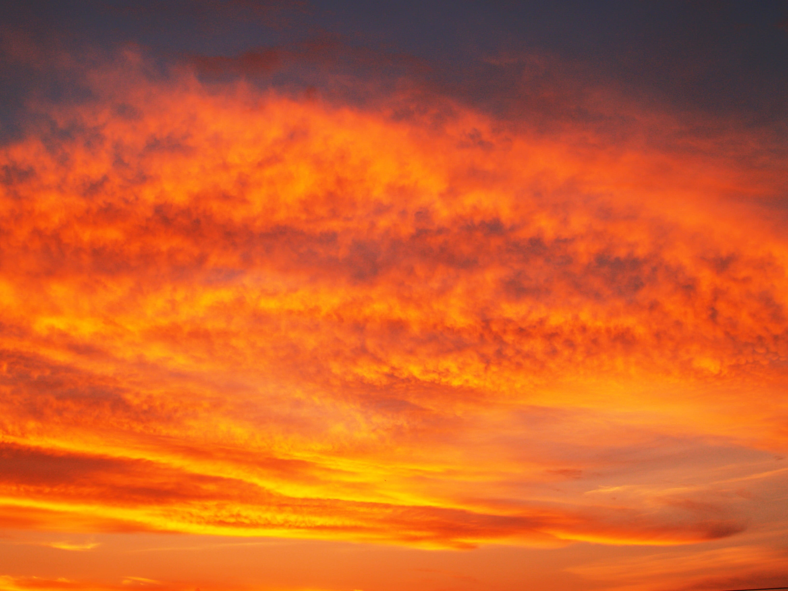 fluffy, overcast, gold, blue, Red, outdoors, dawn, abstract, scene, day, backgrounds, full frame, night, dusk, storm, sky, climate, horizontal, majestic, HD Wallpaper