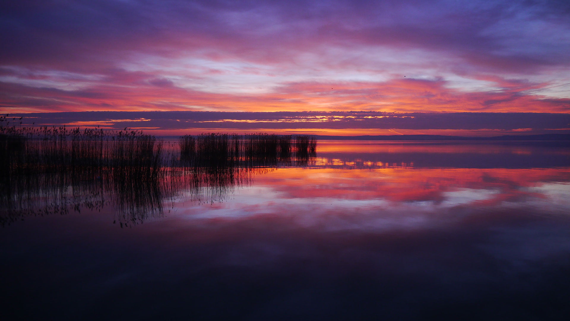 orange color, summer, sky, evening, idyllic, water, season, silhouette, color, twilight, atmospheric mood, scene, dawn, travel, sunrise, weather, scenic, HD Wallpaper