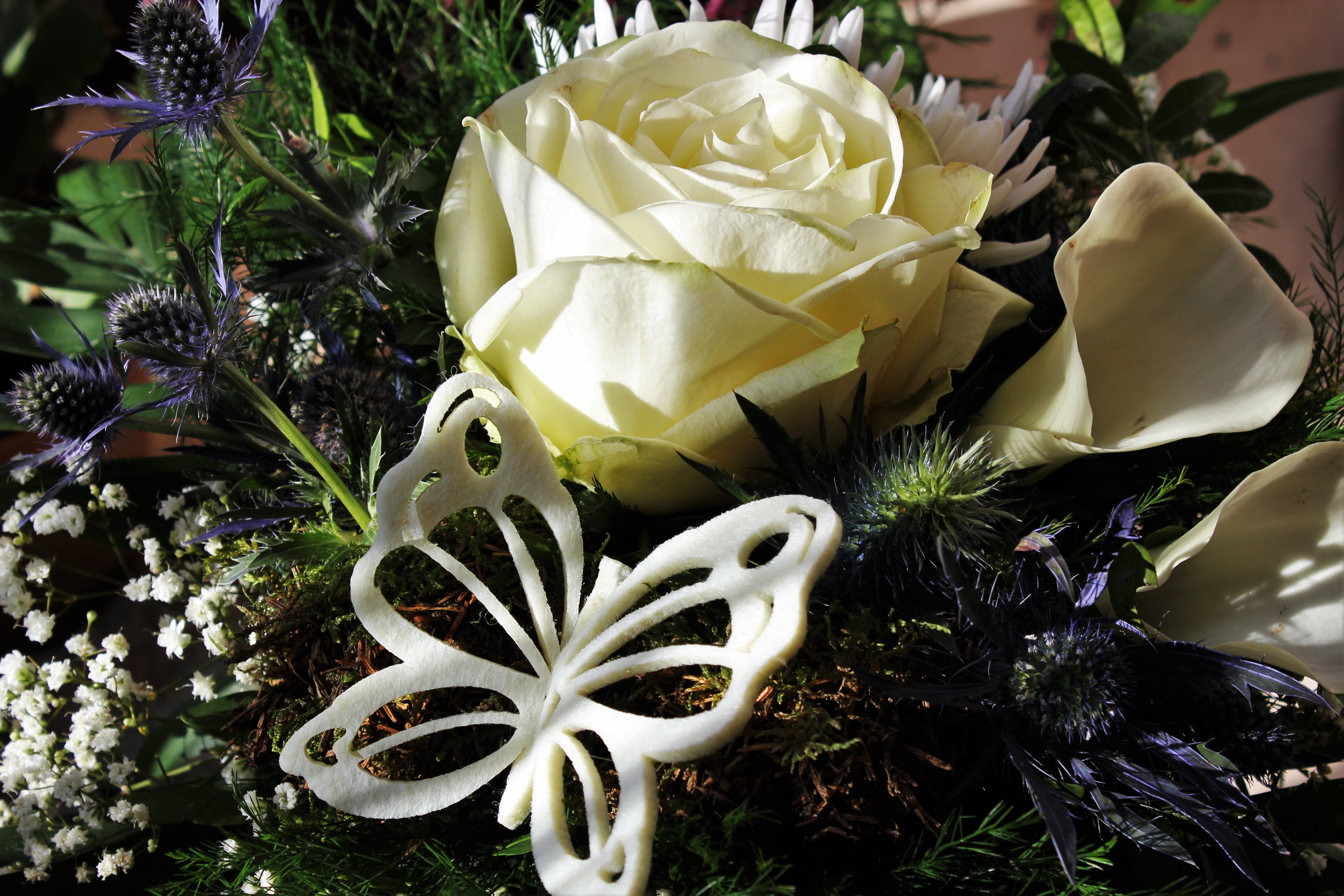 white color, flowers, Bouquet, creative, white calla, 5K, freshness, growth, Rose, ornamental thistles, rose, Butterfly, blum tight binding, flower arrangement, HD Wallpaper