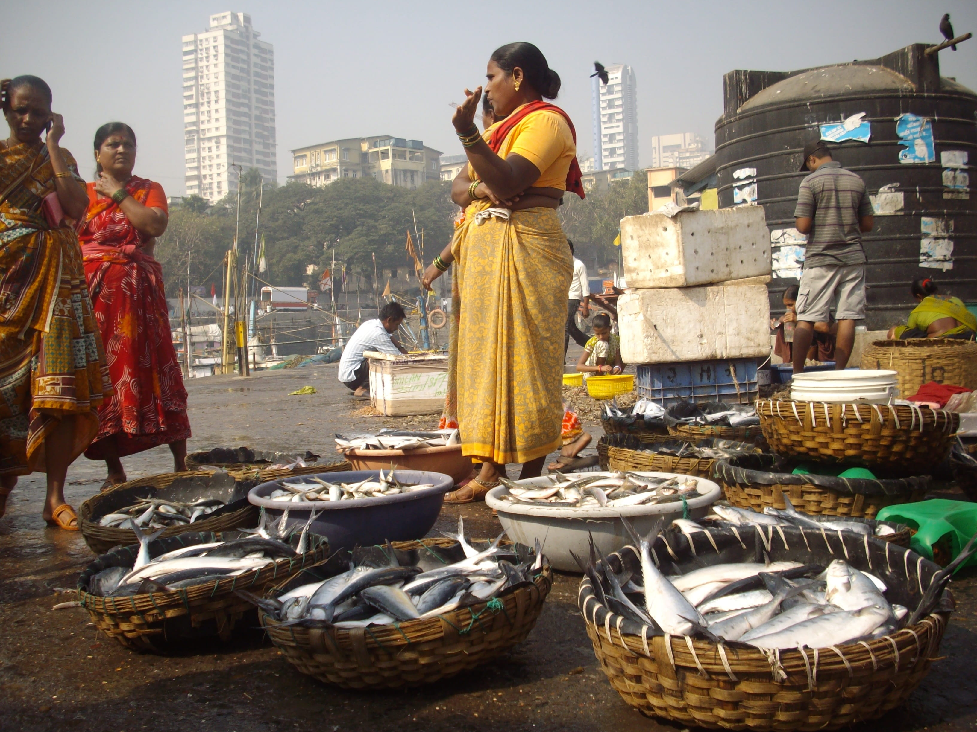 occupation, basket, auctioning, caught, freshly, outdoors, 2K, standing, famous, people, nutrition, agriculture, fish, wharf, animal, adult, market, mumbai, HD Wallpaper