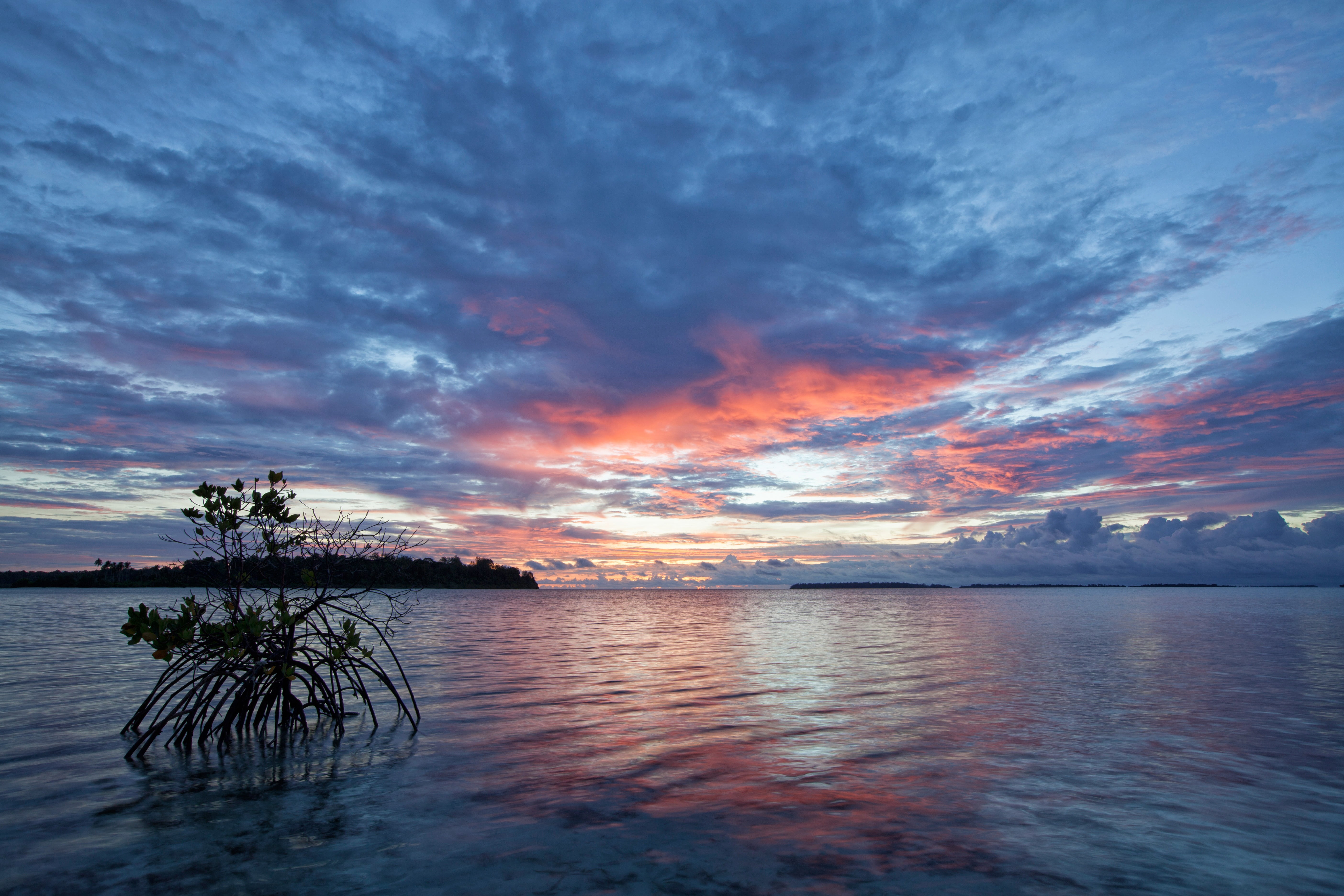 tropical, mountain, indonesia, lake, widi islands, non-urban scene, brown, 5K, the shallow sea, tranquil scene, idyllic, mangrove, tranquility, nature, HD Wallpaper