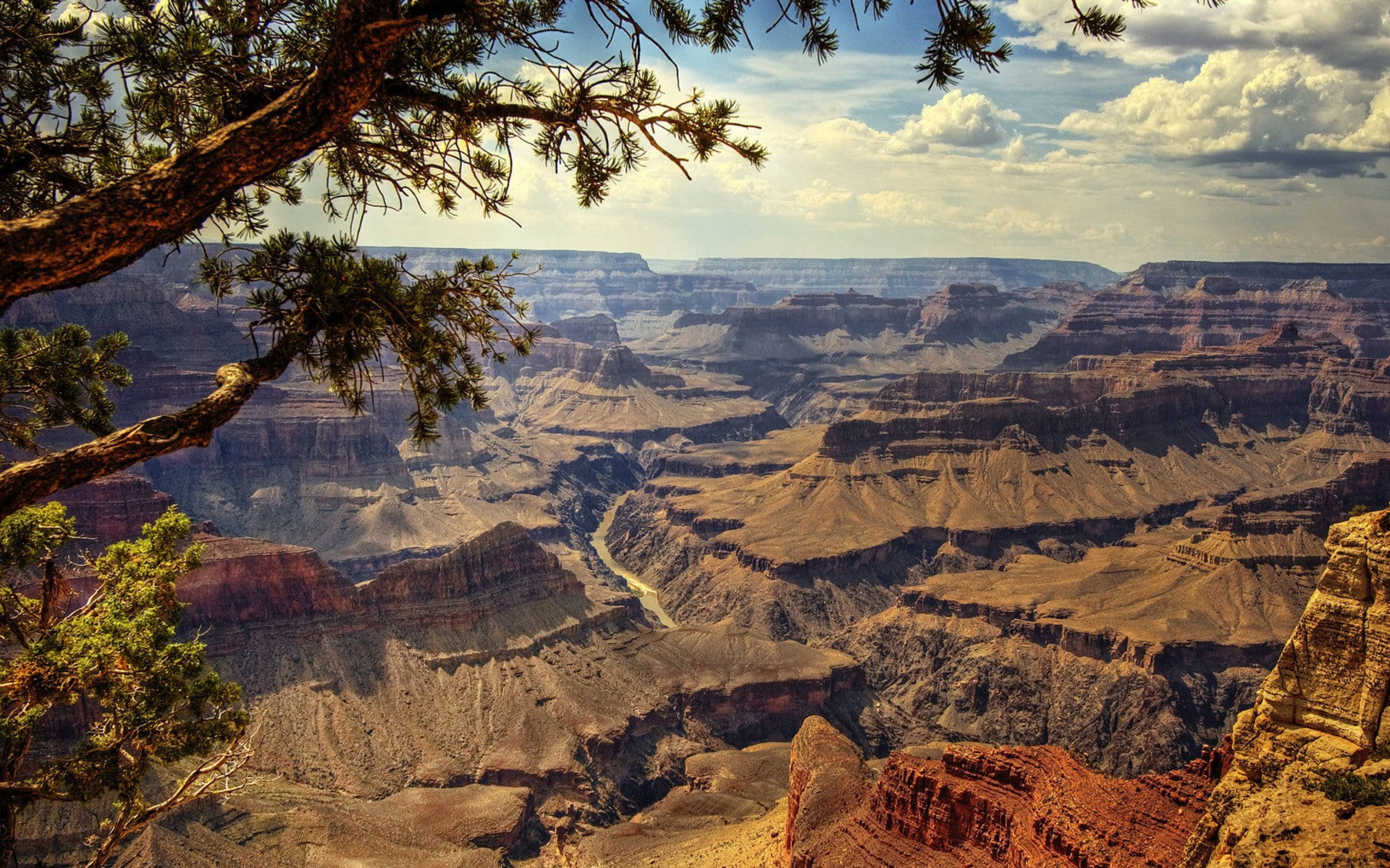 nature, rock, 1080P, landscape, hd, black, brown, canyon, grand, tree, desert, formation, HD Wallpaper