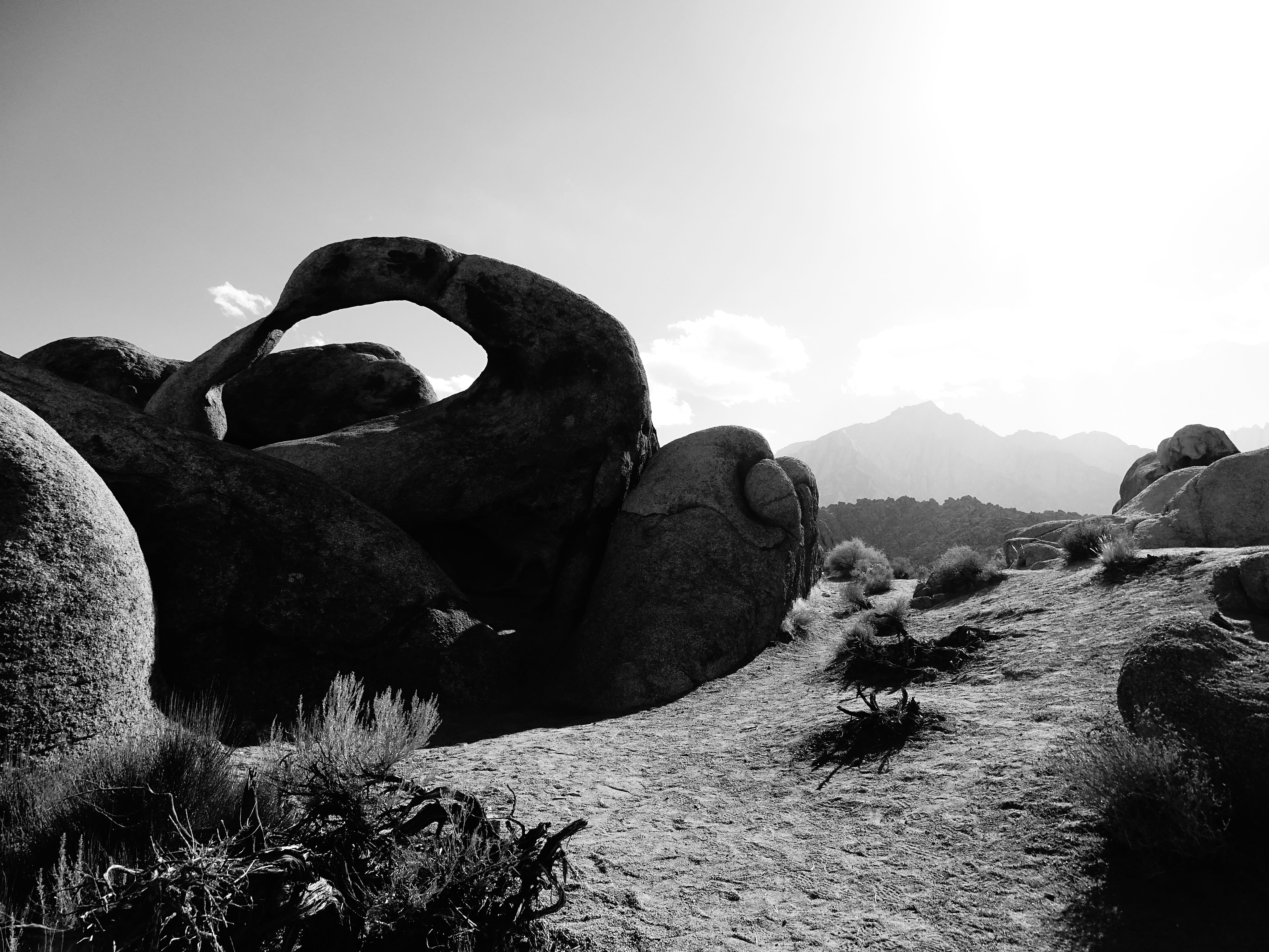 Black, animal themes, hiking, land, solid, 5K, field, Nature, mountain, adventure, sunlight, Rock, animal, non-urban scene, tranquil scene, Stone, experience, HD Wallpaper