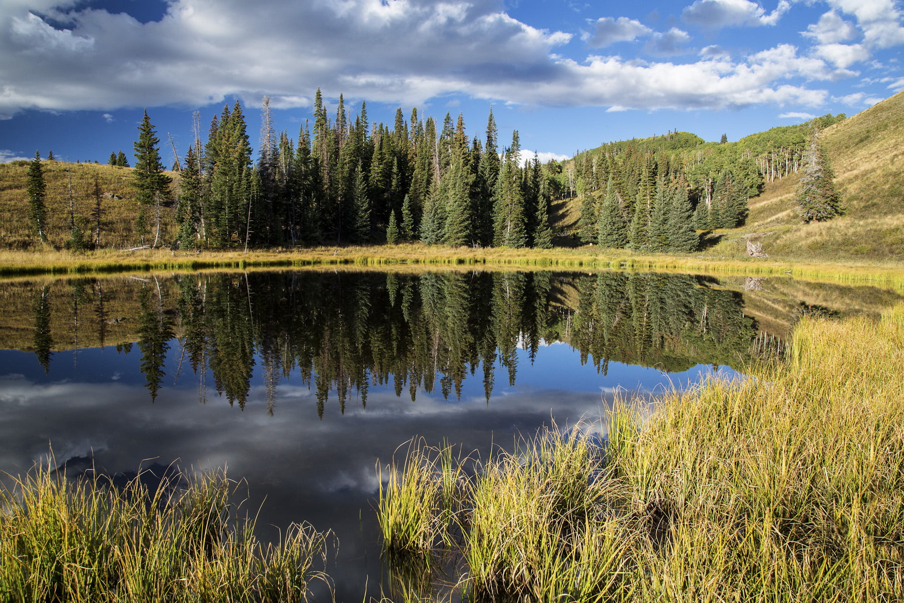 roadtrip, mountain, blue, sky, photo, Solitude, green Color, grass, BLM, 720P, explore, green, beauty In Nature, green grass, colorado, camping, photography, HD Wallpaper