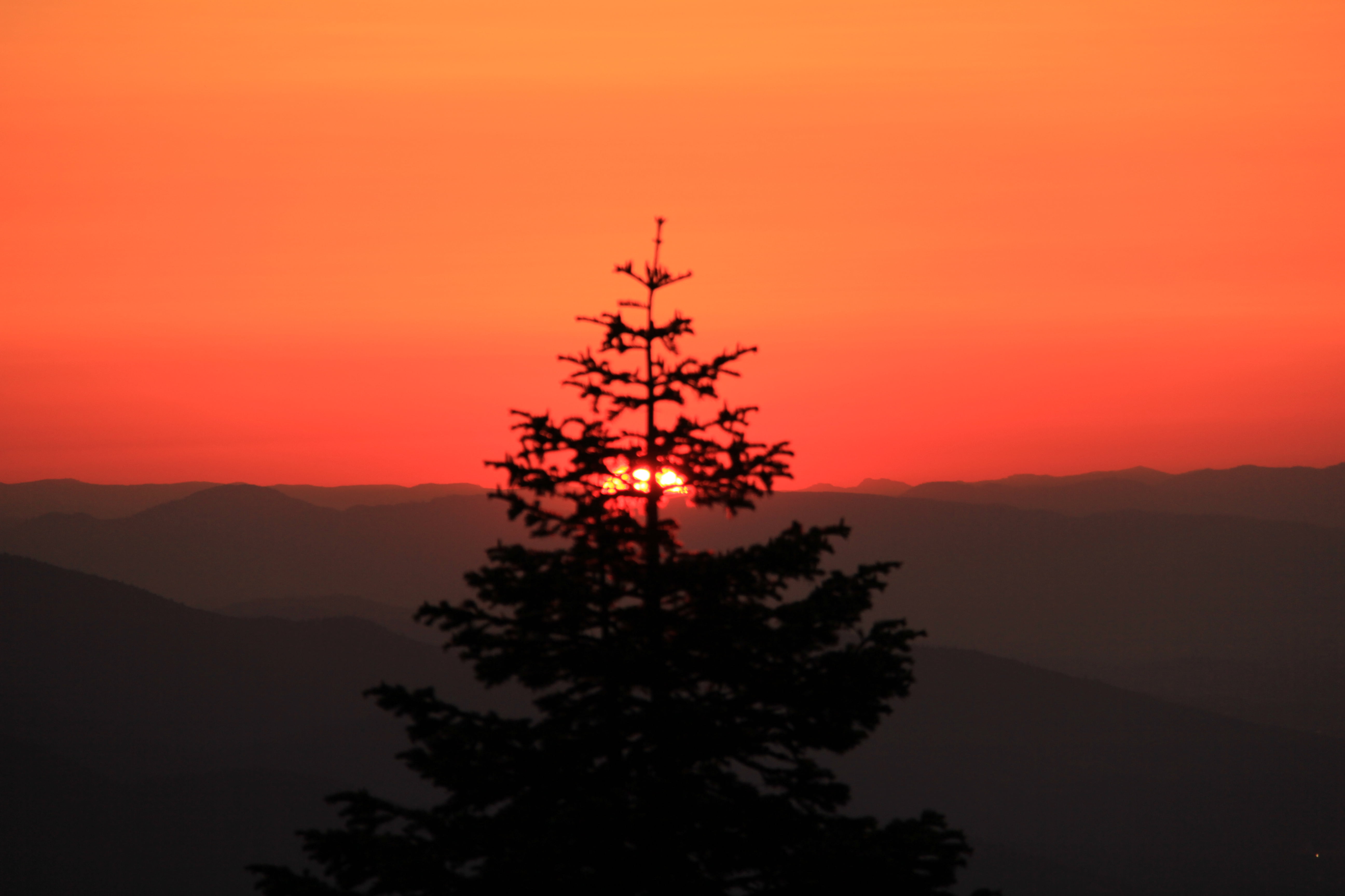 Pacific Northwest, Solitude, Great Outdoors, America, Backpacking, National, Fishing, Lands  Department, natural resources, Cascade-Siskiyou National Monument, HD Wallpaper