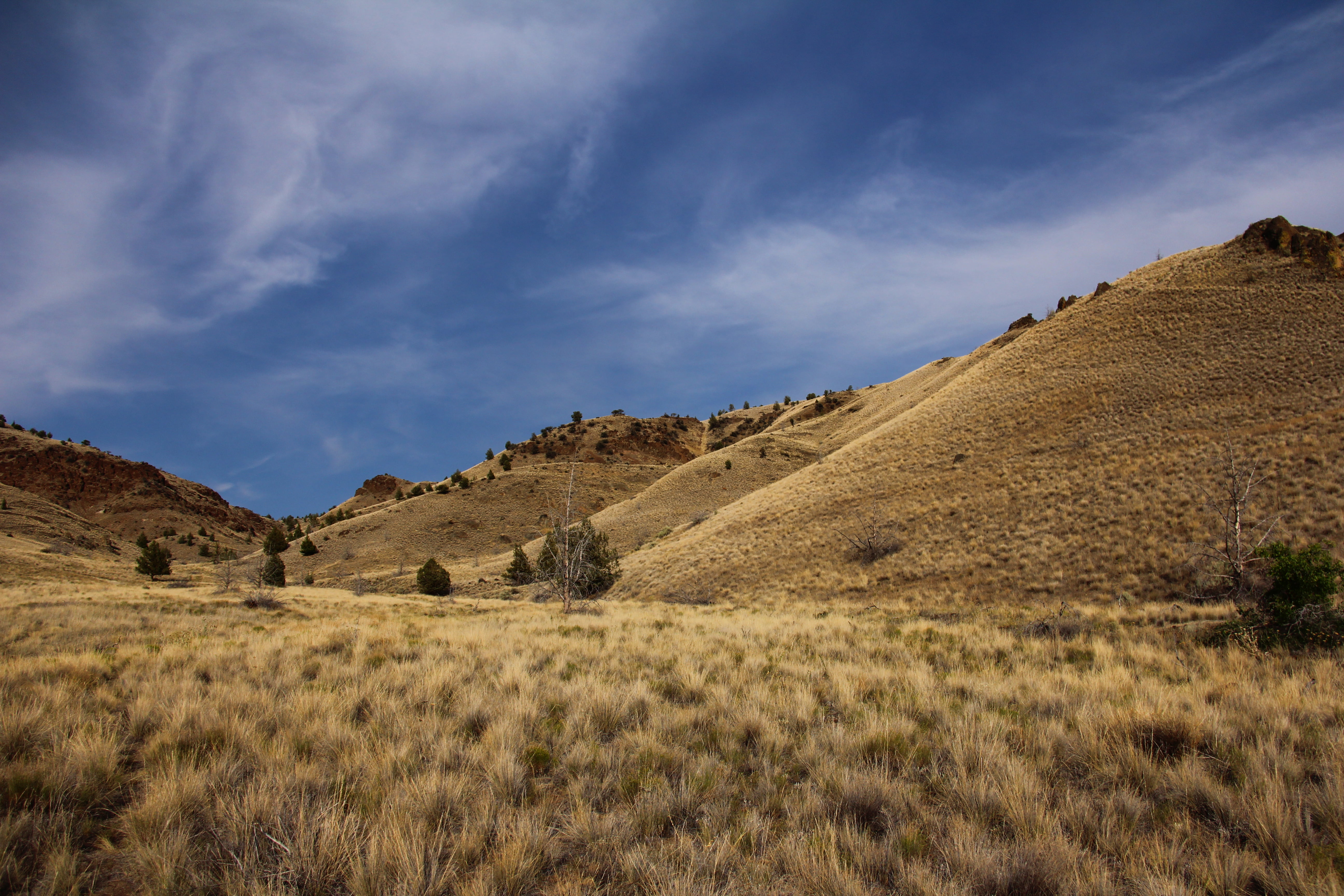 BLM, nature, Spring Basin Wilderness, Great Outdoors, Pacific Northwest, Bureau of Land Management, Outside, Hunting, America, System, Fishing, environment, HD Wallpaper