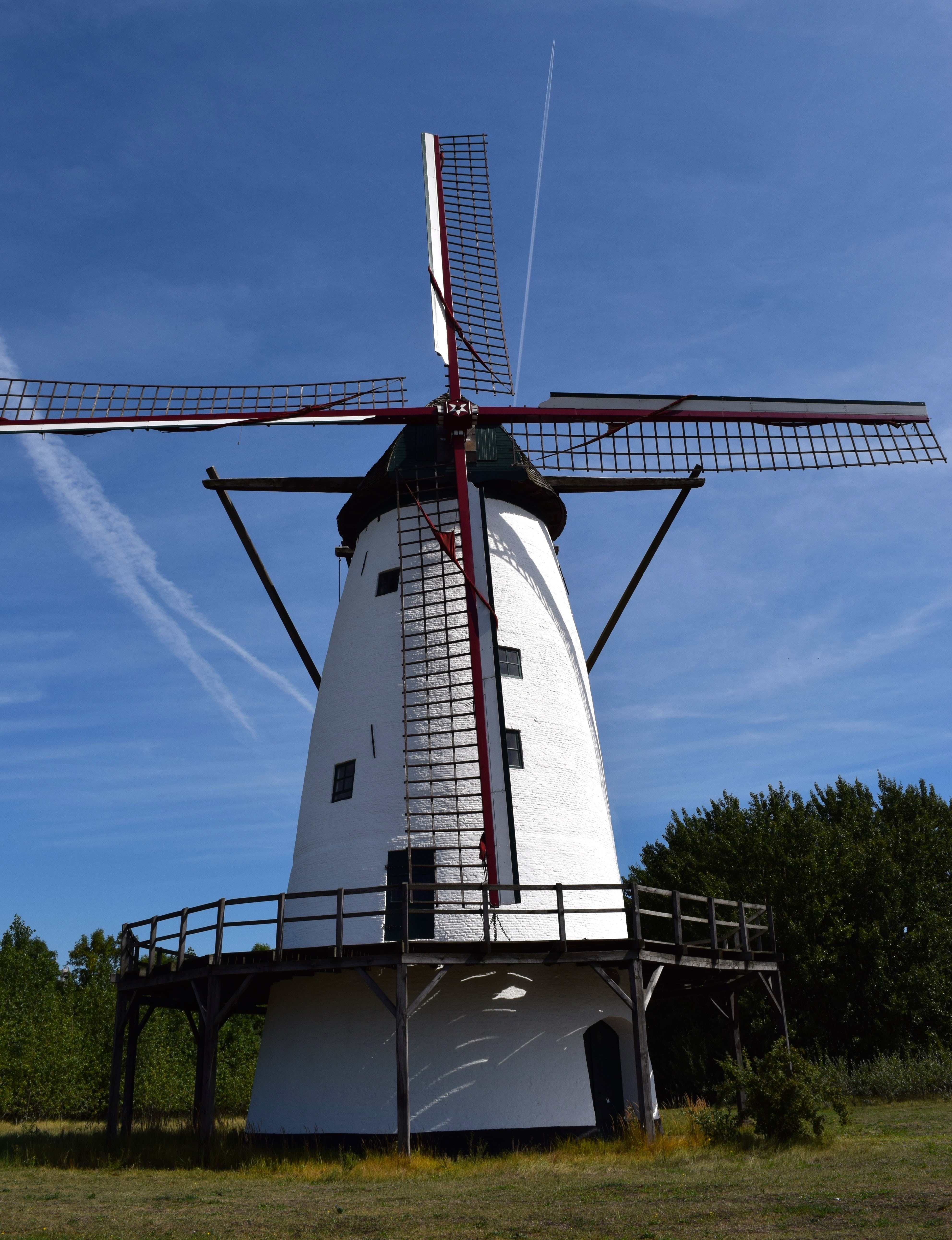 flour, antwerp, land, mill, wing, day, turbine, grind, blue, wind power, renewable energy, rural scene, blade, wind turbine, plant, fuel and power generation, Phone HD Wallpaper