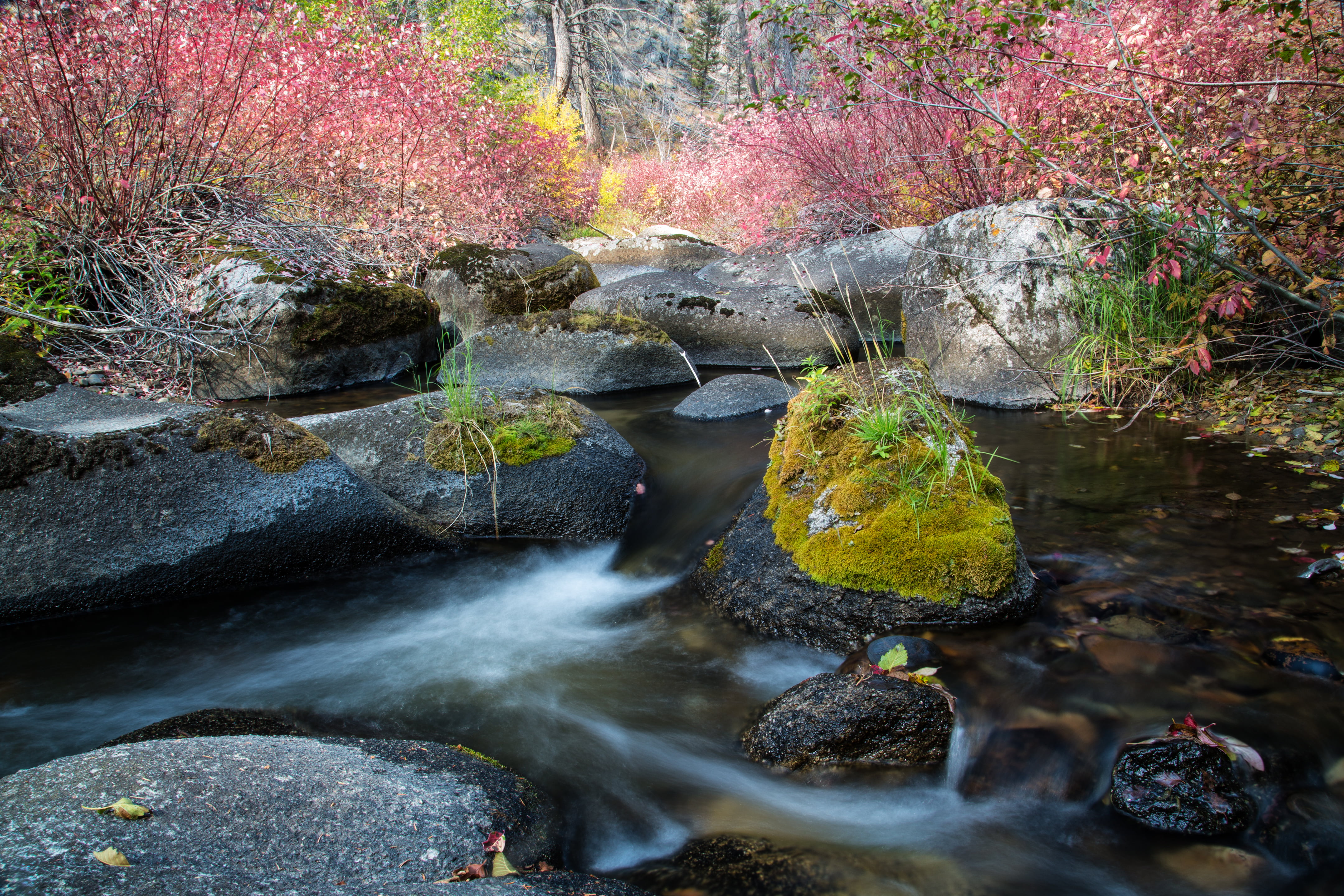 waterfalls, 4K, Bureau of Land Management, tree, Spires, stream, landscape, wilderness study area, forest, BLM, lands, beauty In Nature, river, photo, HD Wallpaper