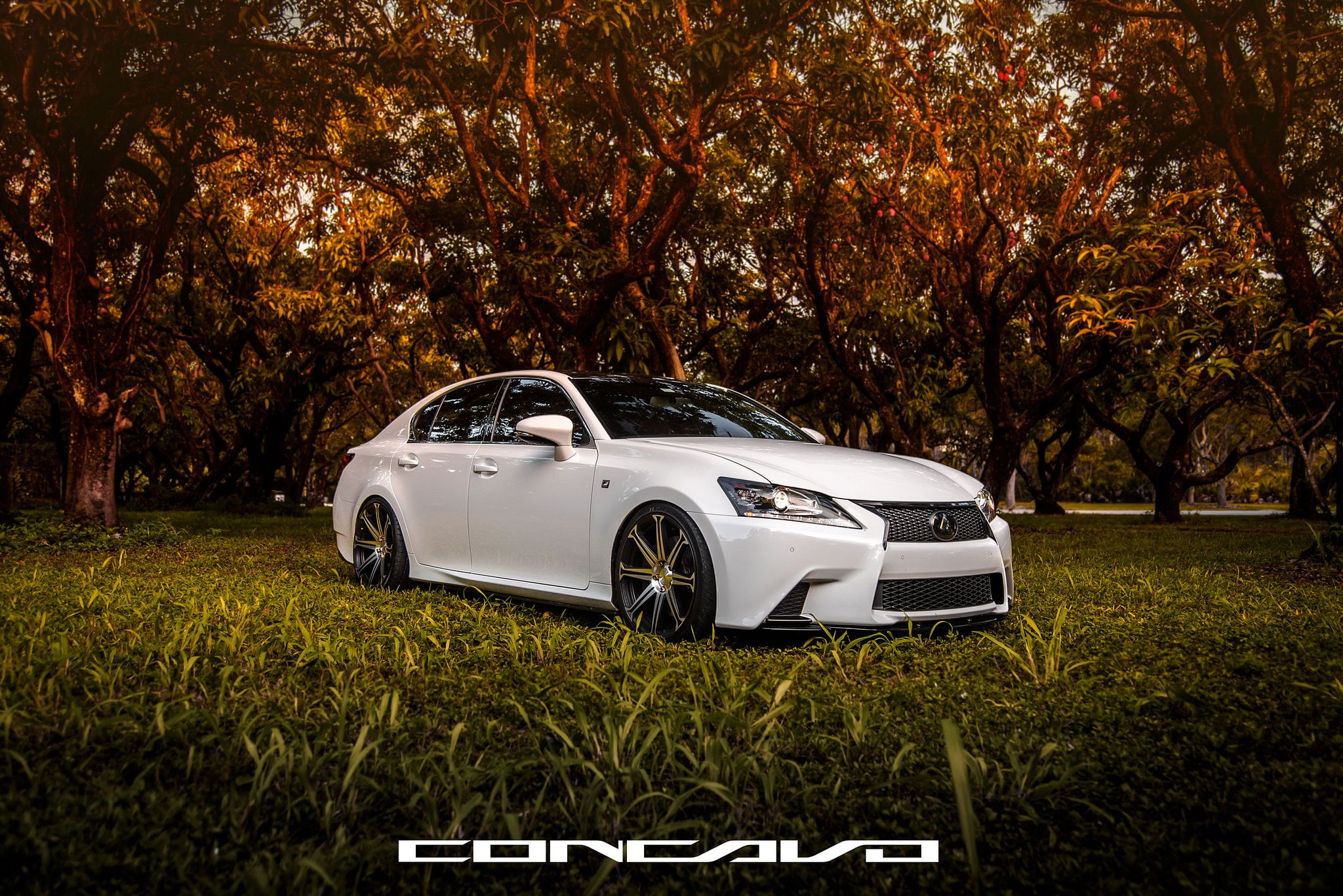 tuning, lexus, cars, gs350, wheels, 1080P, f-sport, concavo, HD Wallpaper