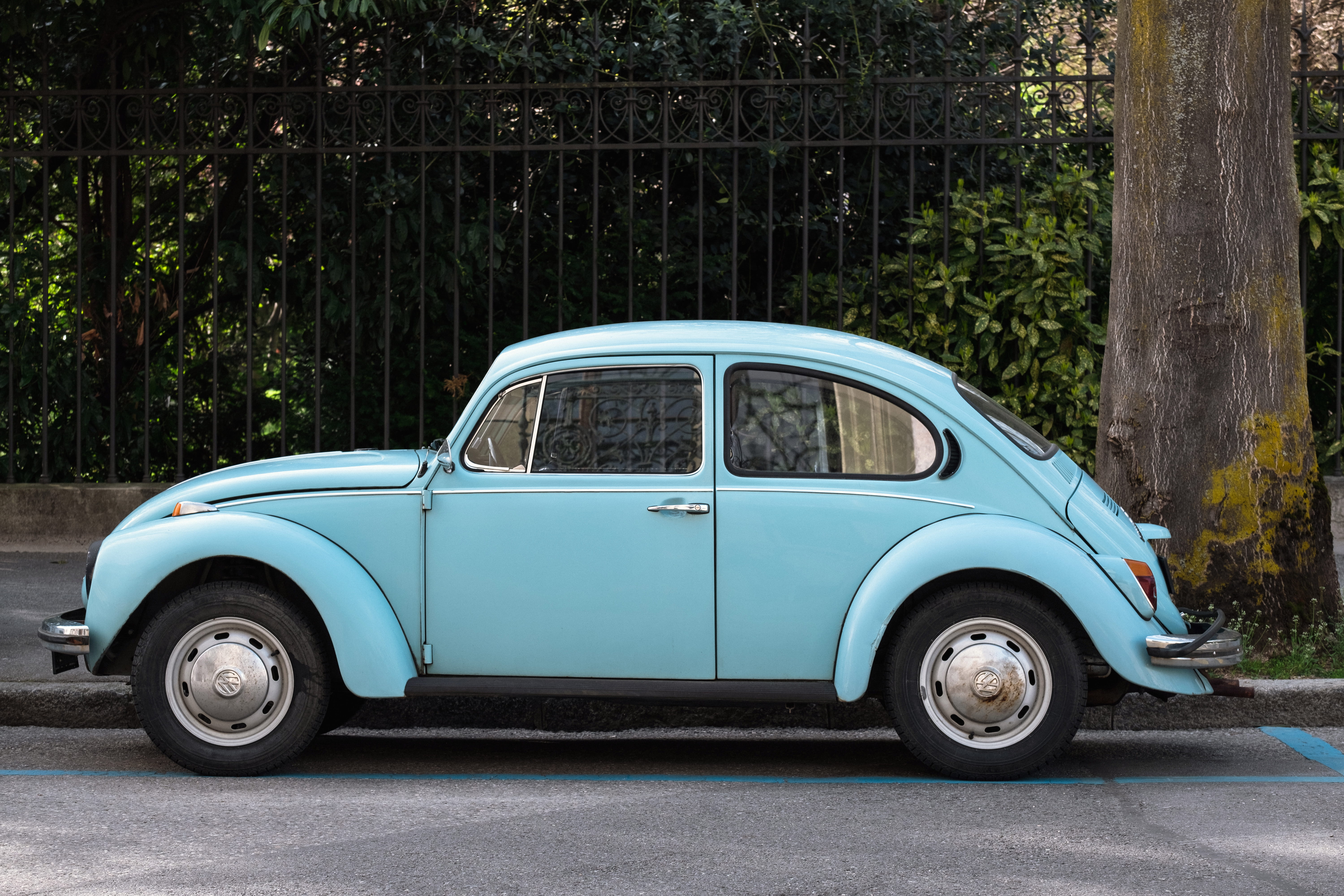 beside, 5K, vintage, auto, type, vintage car, plant, retro styled, cyan, mode of transportation, tree, geneva, volkswagen, street photography, classic, HD Wallpaper