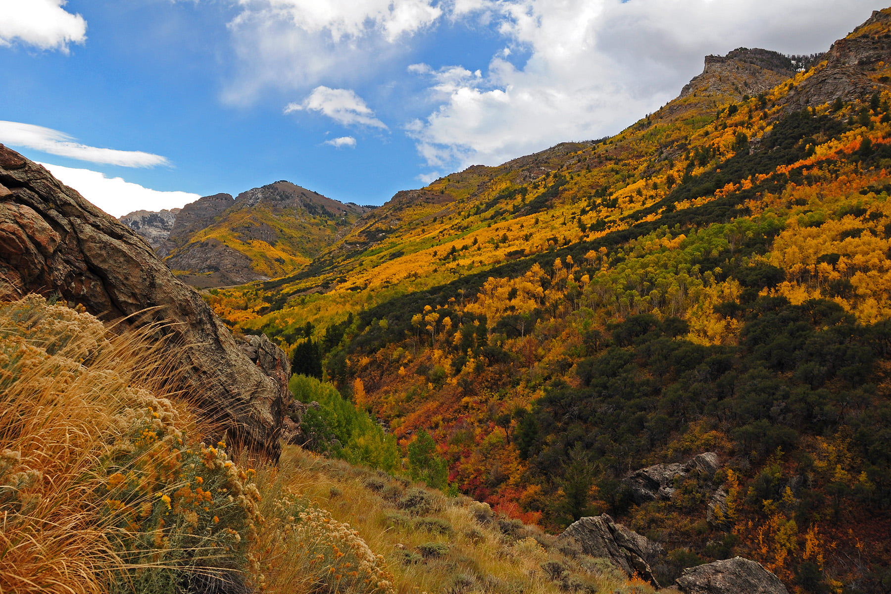sky, green mountains, nature, blue, landscape, valley, outdoors, Ruby Mountains, blue sky, green, white, FS, fall colors, Forest Service, autumn, brown, HD Wallpaper