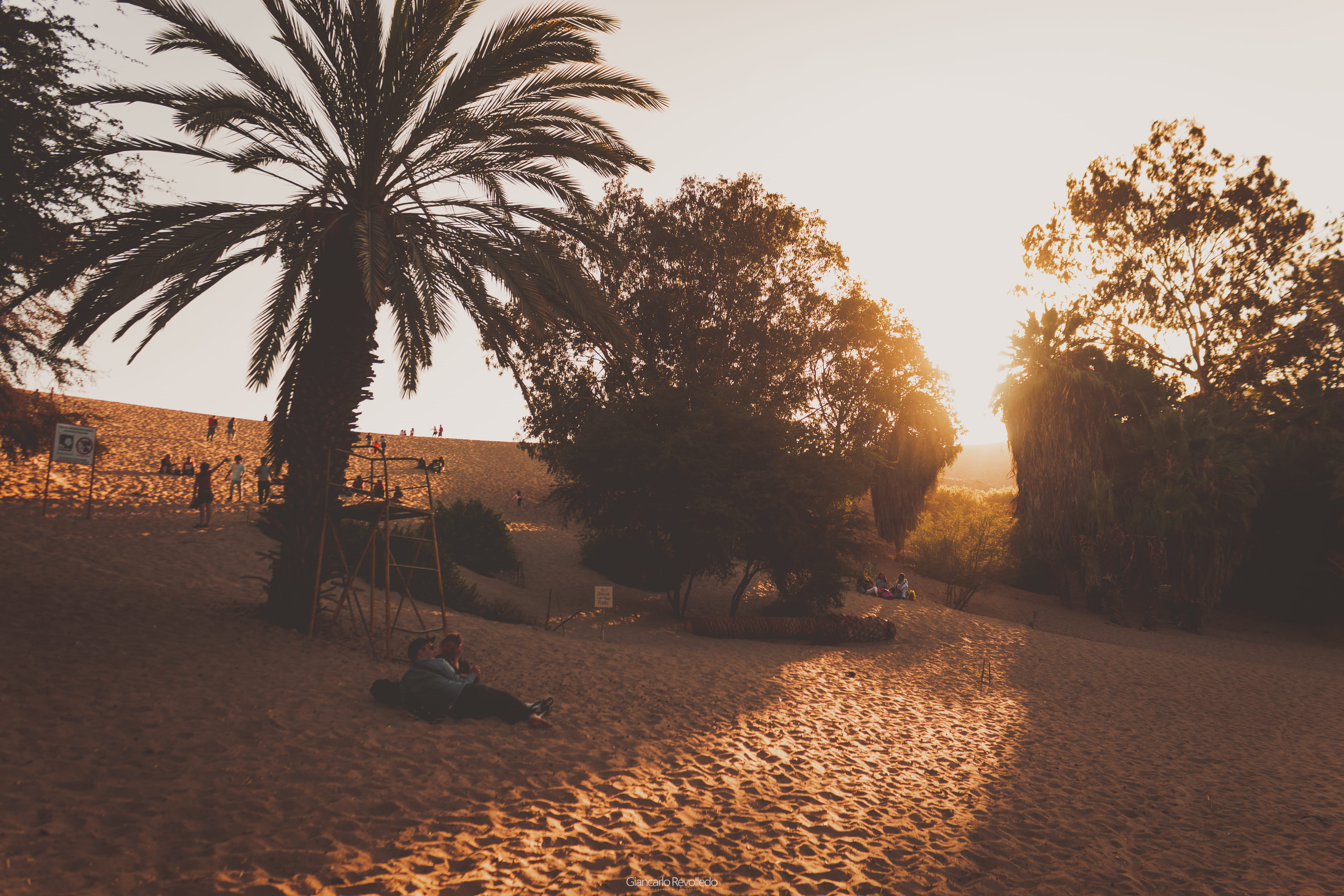 canon, land, huacachina, clear sky, nature, scenics - nature, tropical climate, trees, plant, camera, tree, tranquility, wallpaperandroid, HD Wallpaper