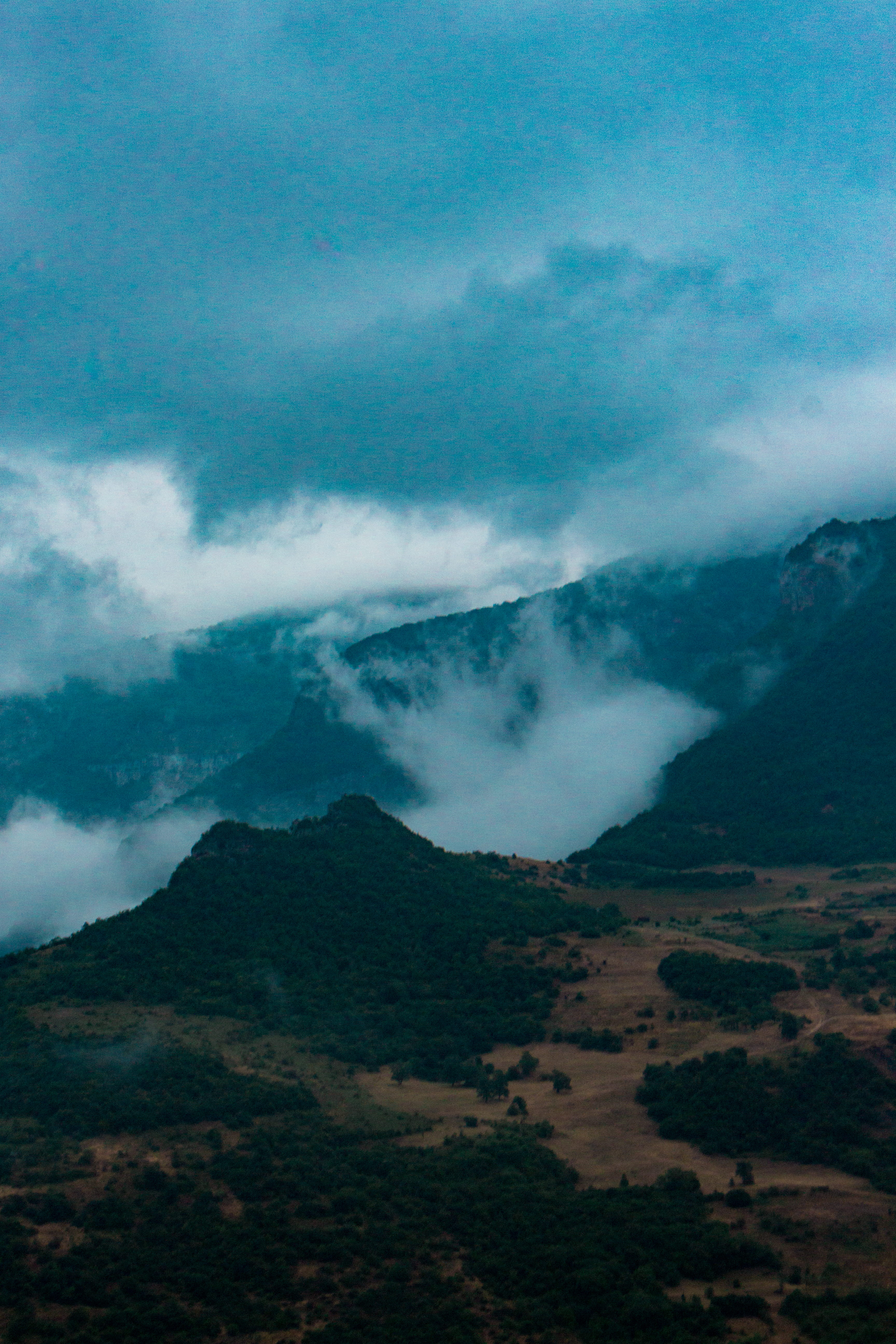 feeling, tree, rain, physical geography, tranquil scene, mountain, environment, georgia, mountain range, forest, fog, shot, non-urban scene, land, no people, Phone HD Wallpaper