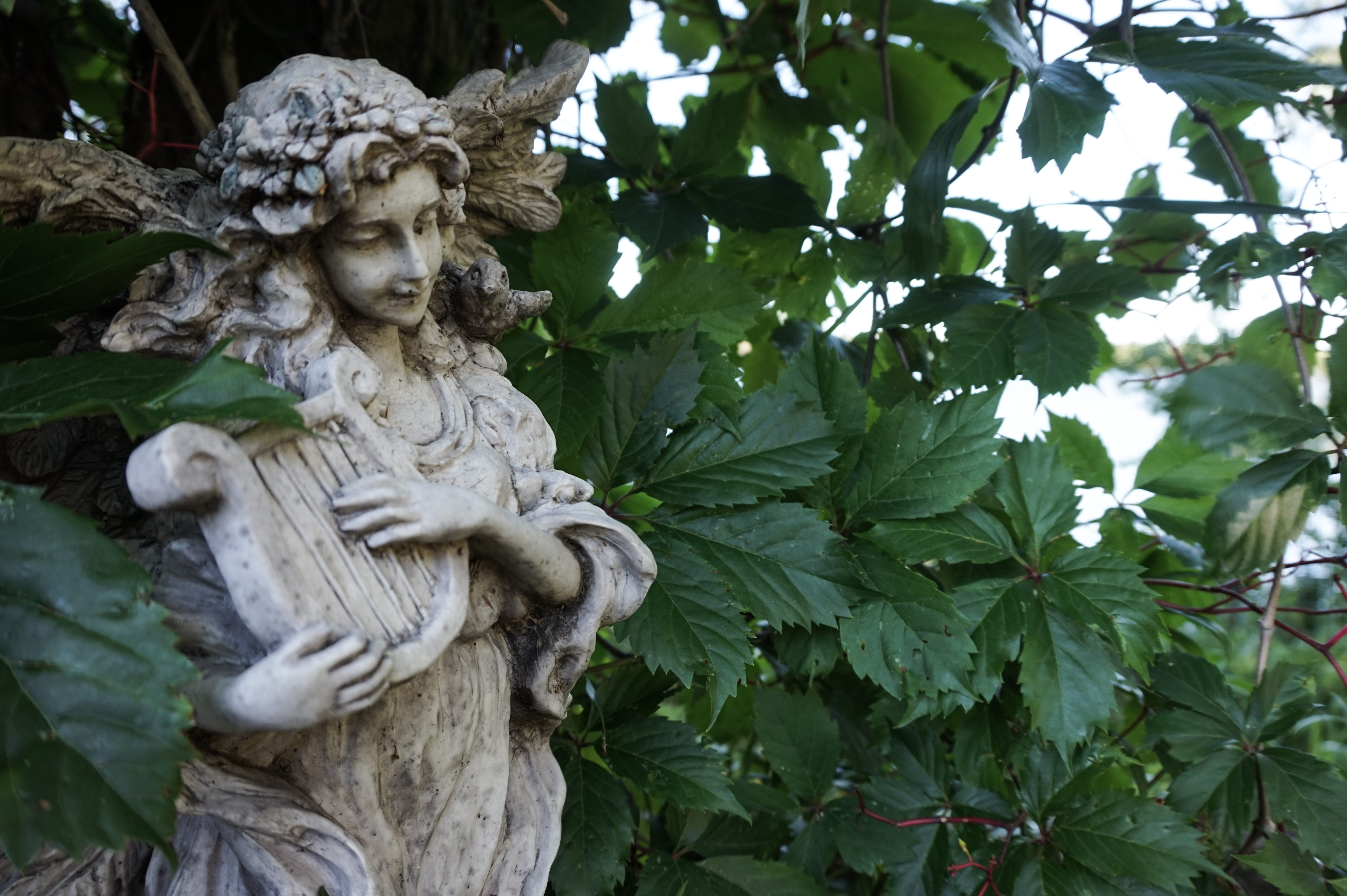 photo, leaf, outdoors, religious, human representation, wings, plant, nature, statue, 5K, god, bush, photography, plant part, sculpture, outside, pictures, HD Wallpaper