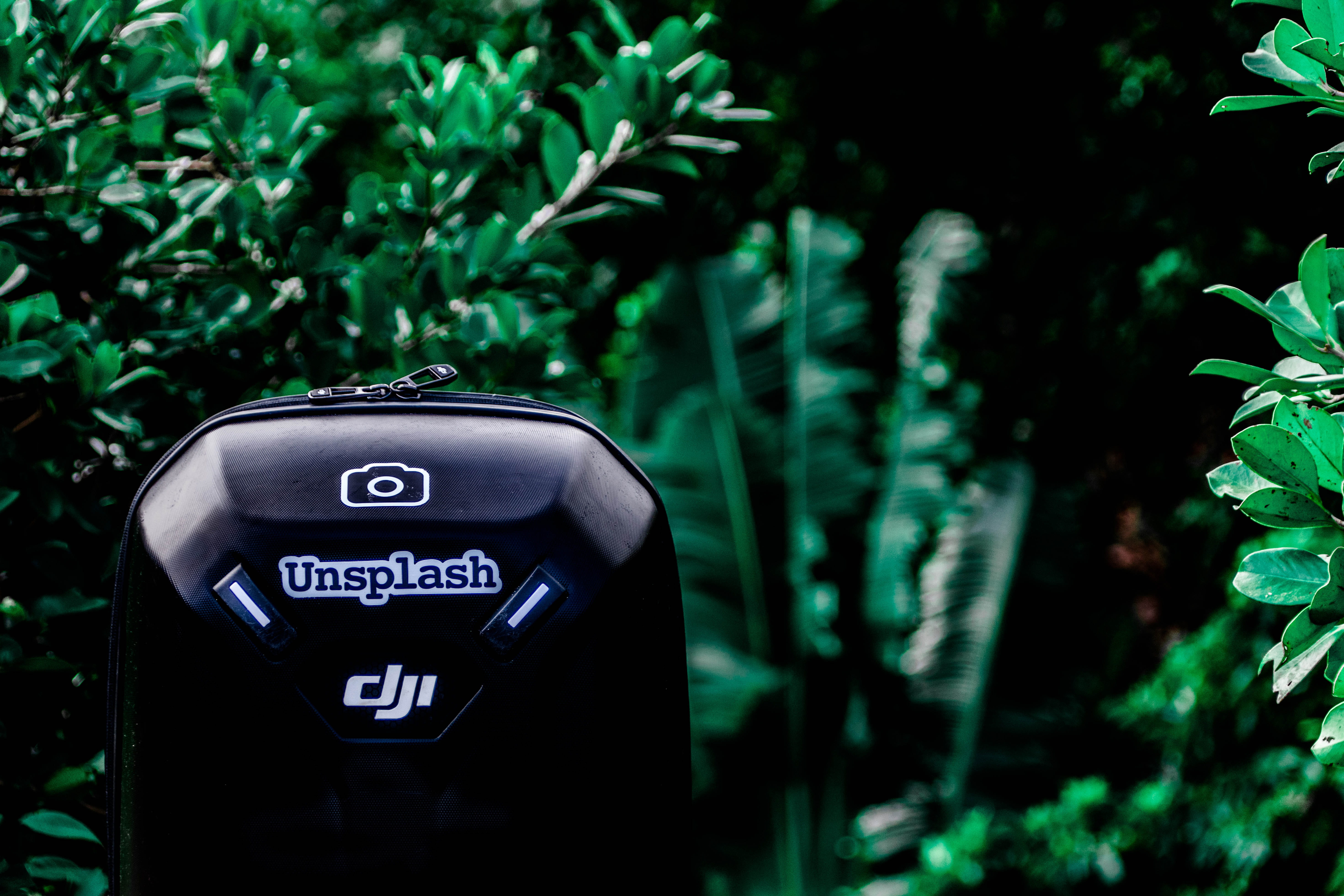 no people, communication, tree, green color, water, day, aquarium, case, growth, land, dji, guidance, forest, black, photo, ivy, chamarel, flora, technology, HD Wallpaper