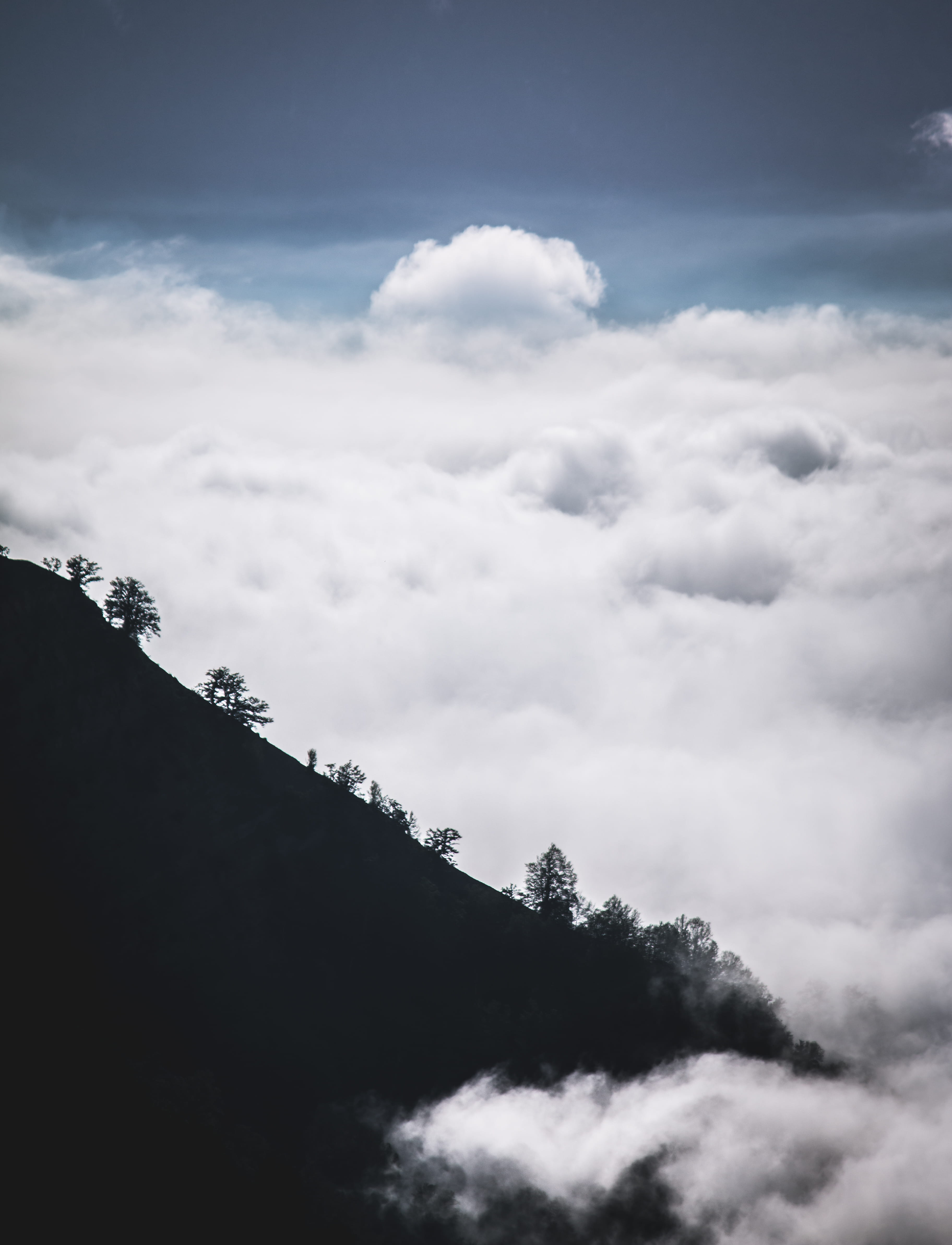 camp, shadow, idyllic, iran, tree, filband, non-urban scene, fluffy, mountain range, trees, up, jungle, 4K, beauty in nature, adventure, cloud, mother nature, Phone HD Wallpaper