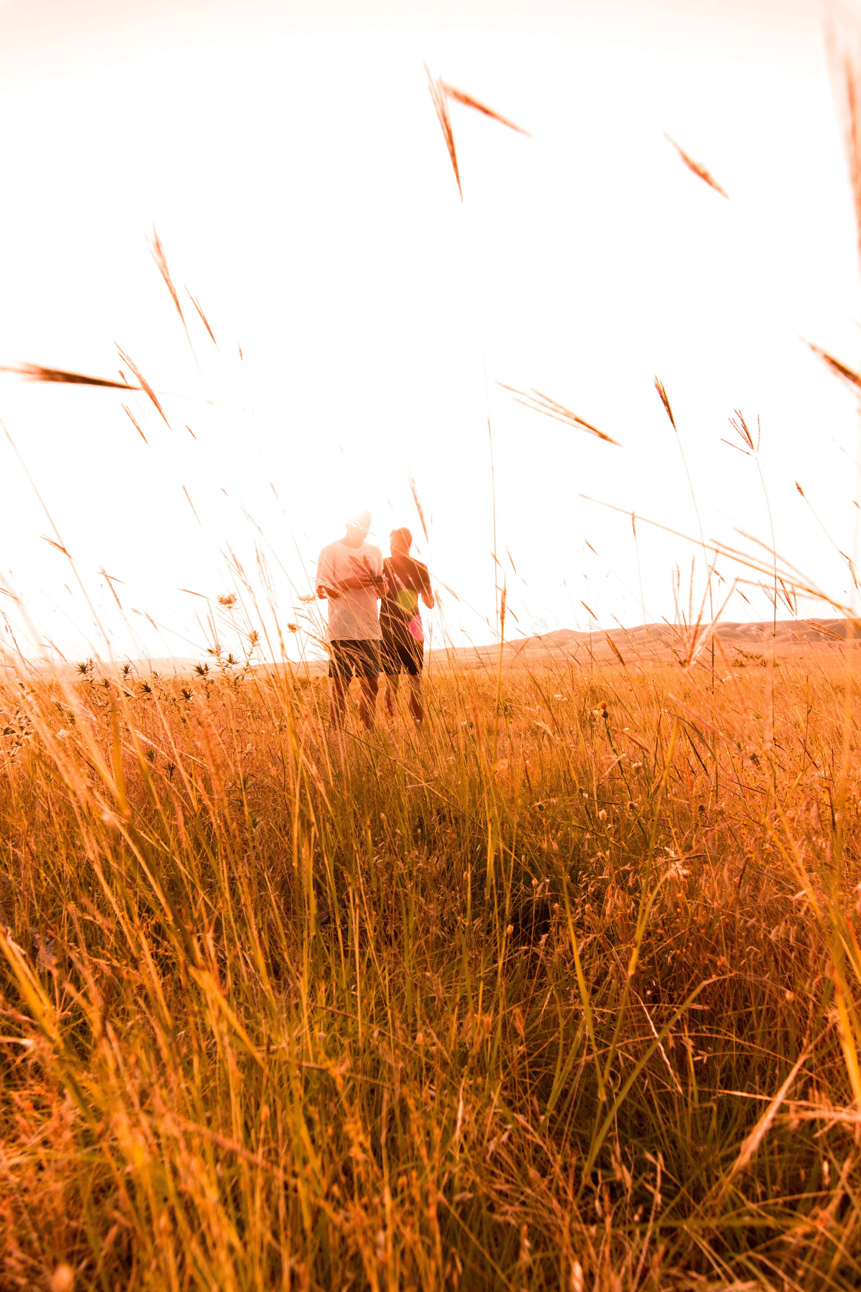 plant, land, leisure activity, men, adult, casual clothing, field, one person, environment, mountain, jairph, drone, gras, 5K, unsplash, photo, brother, Phone HD Wallpaper