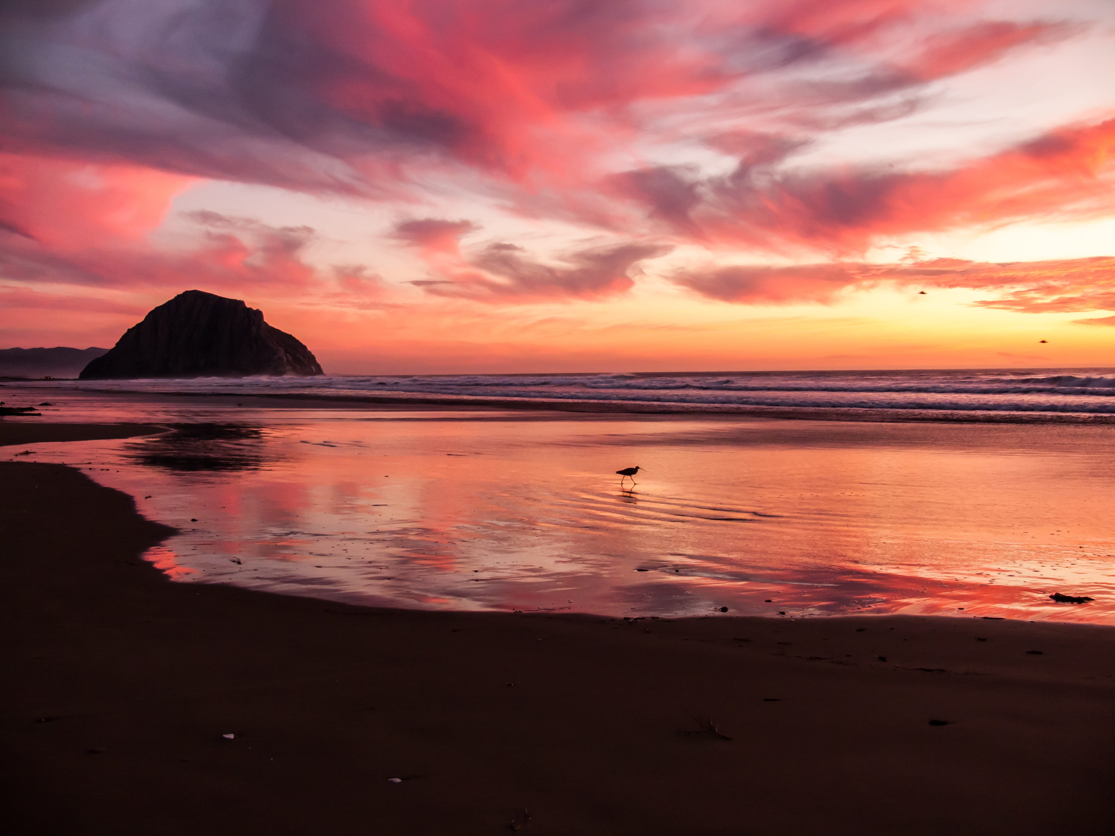 photography, tranquil scene, bird, idyllic, scene, nature, romantic sky, food, sky, orange color, coast, no people, colors, beach, rock, cloudscape, sea, HD Wallpaper