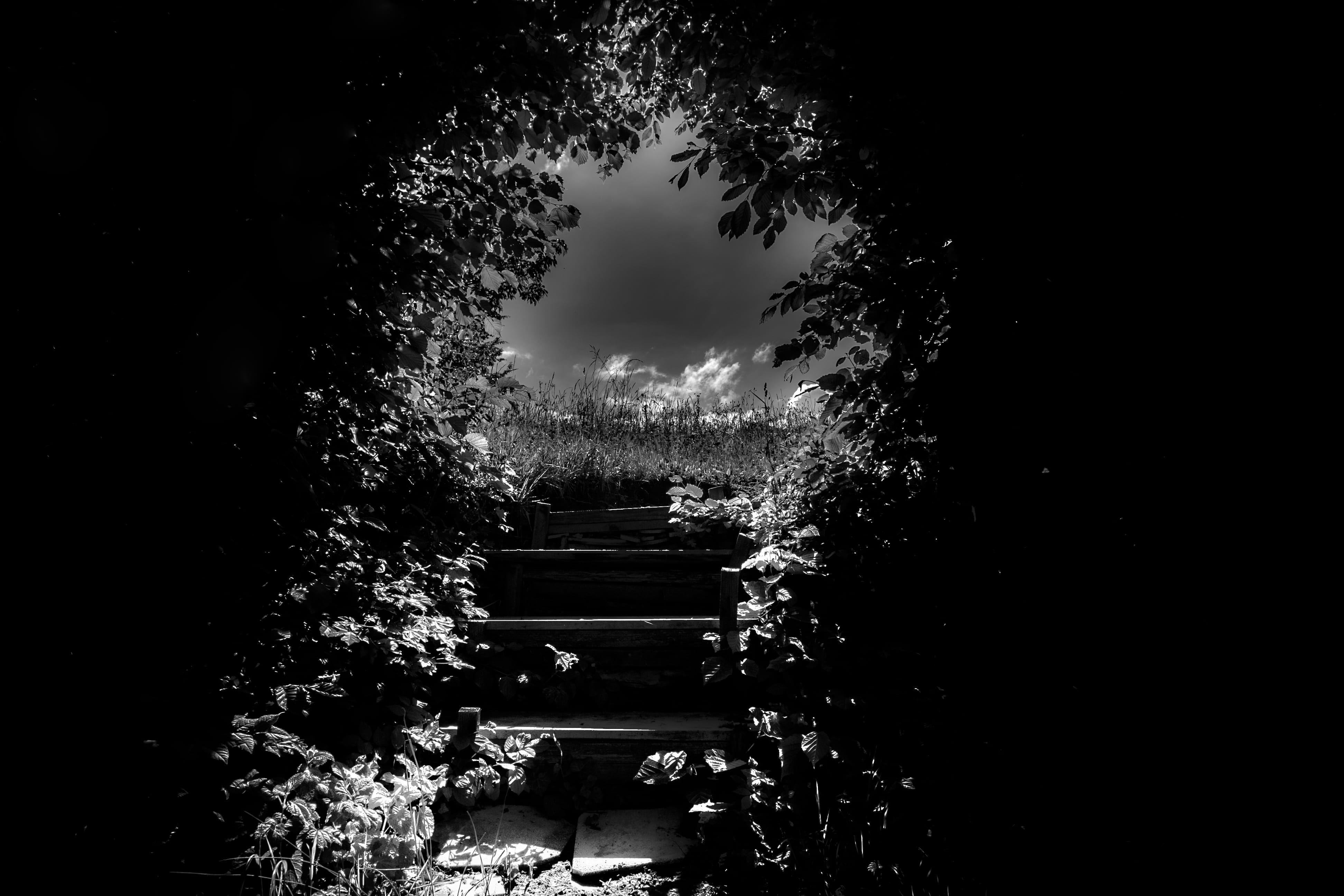 light, hope, forward, nature, dark, 4K, day, direction, building exterior, architecture, tree, leafes, no people, sky, path, heaven, the way forward, outdoors, HD Wallpaper