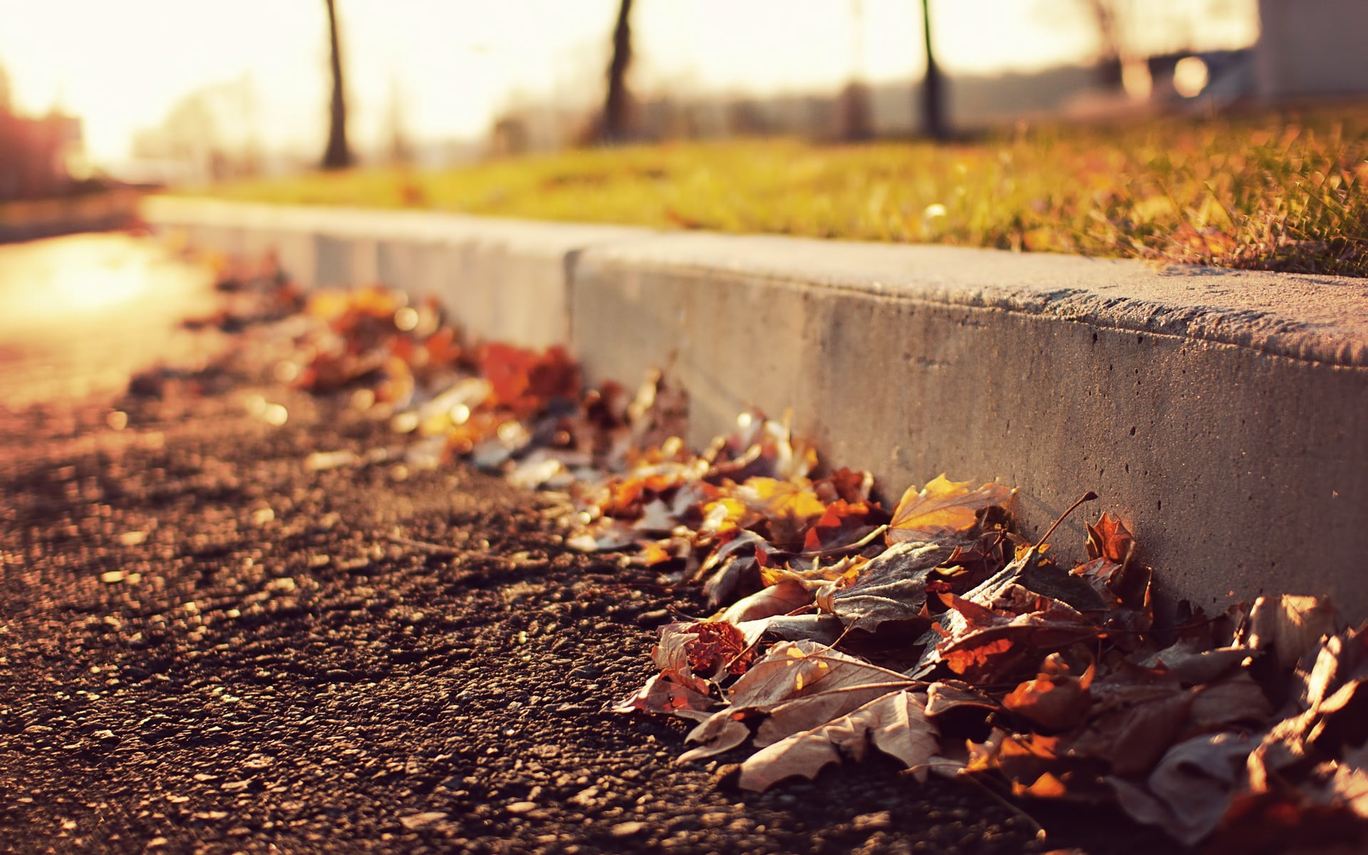 leaf, footpath, black, surface level, falling, dry, park - man made space, change, park, frame, 1080P, fall, brown, messy, autumn, selective focus, urban, HD Wallpaper