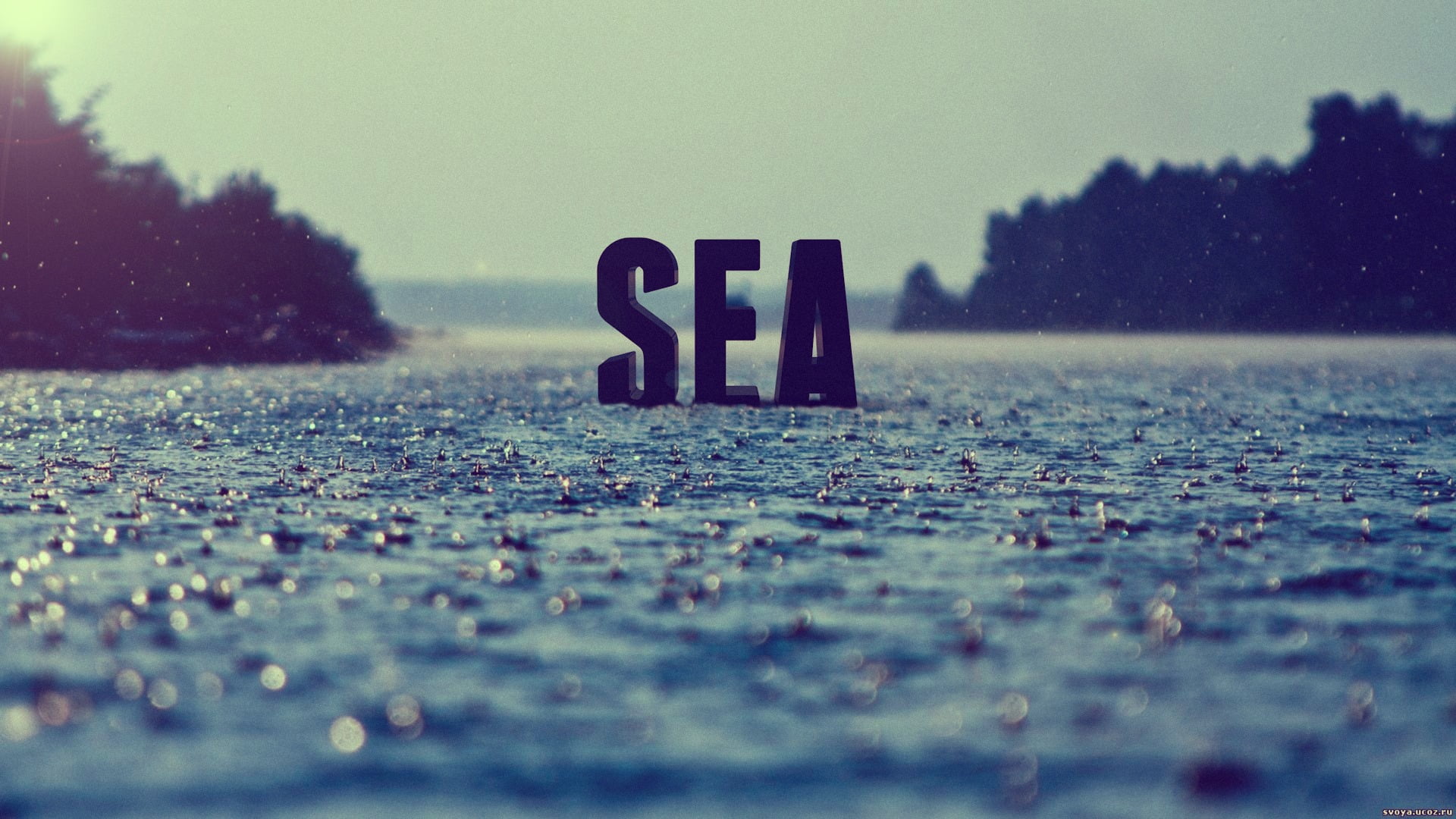 selective focus, water, tree, street, black, communication, sea, number, nature, sign, surface level, plant, close-up, wooden, rain, text, park, typography, HD Wallpaper