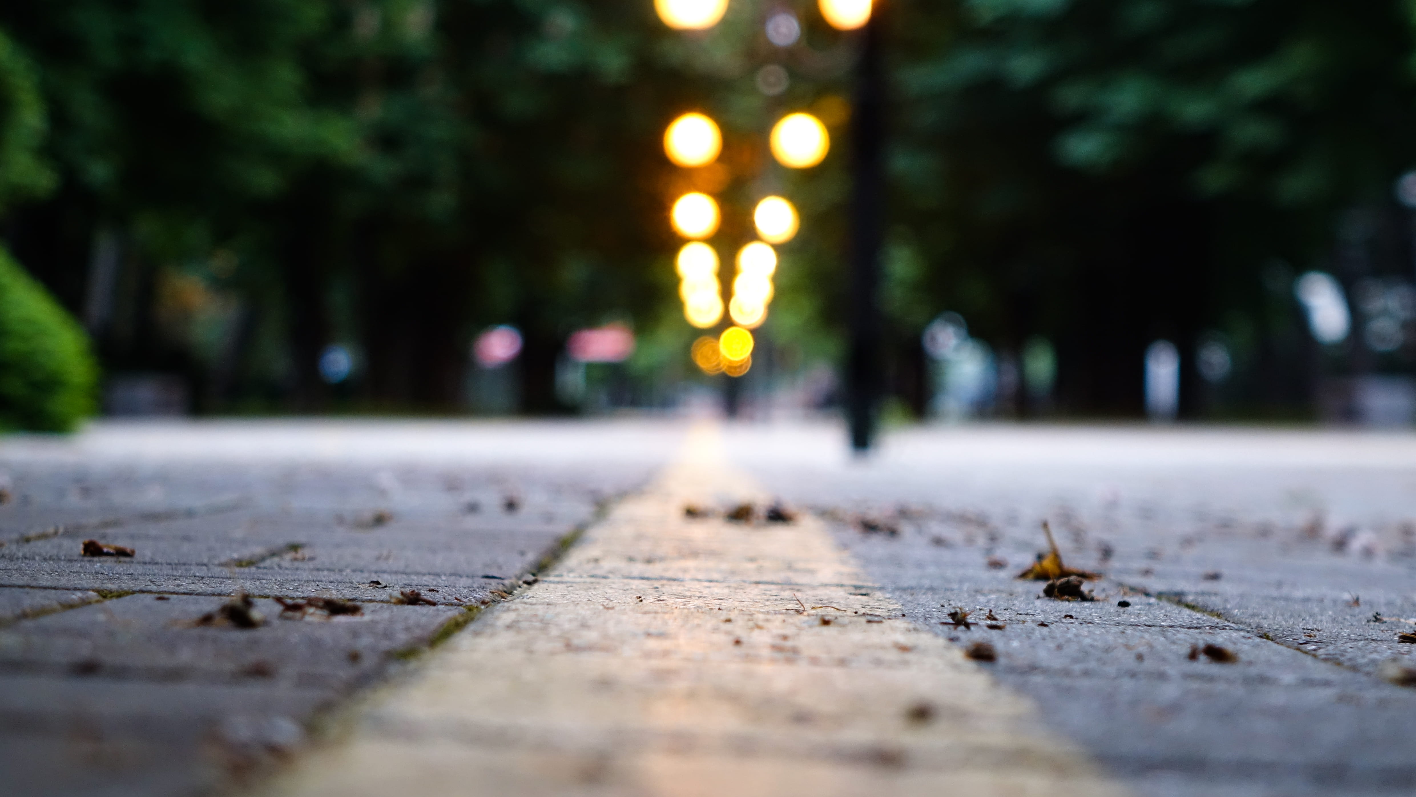 street, line, direction, the way forward, urban, day, transportation, park, road, tree, macro, city, background, perspective, selective focus, light, landscape, HD Wallpaper