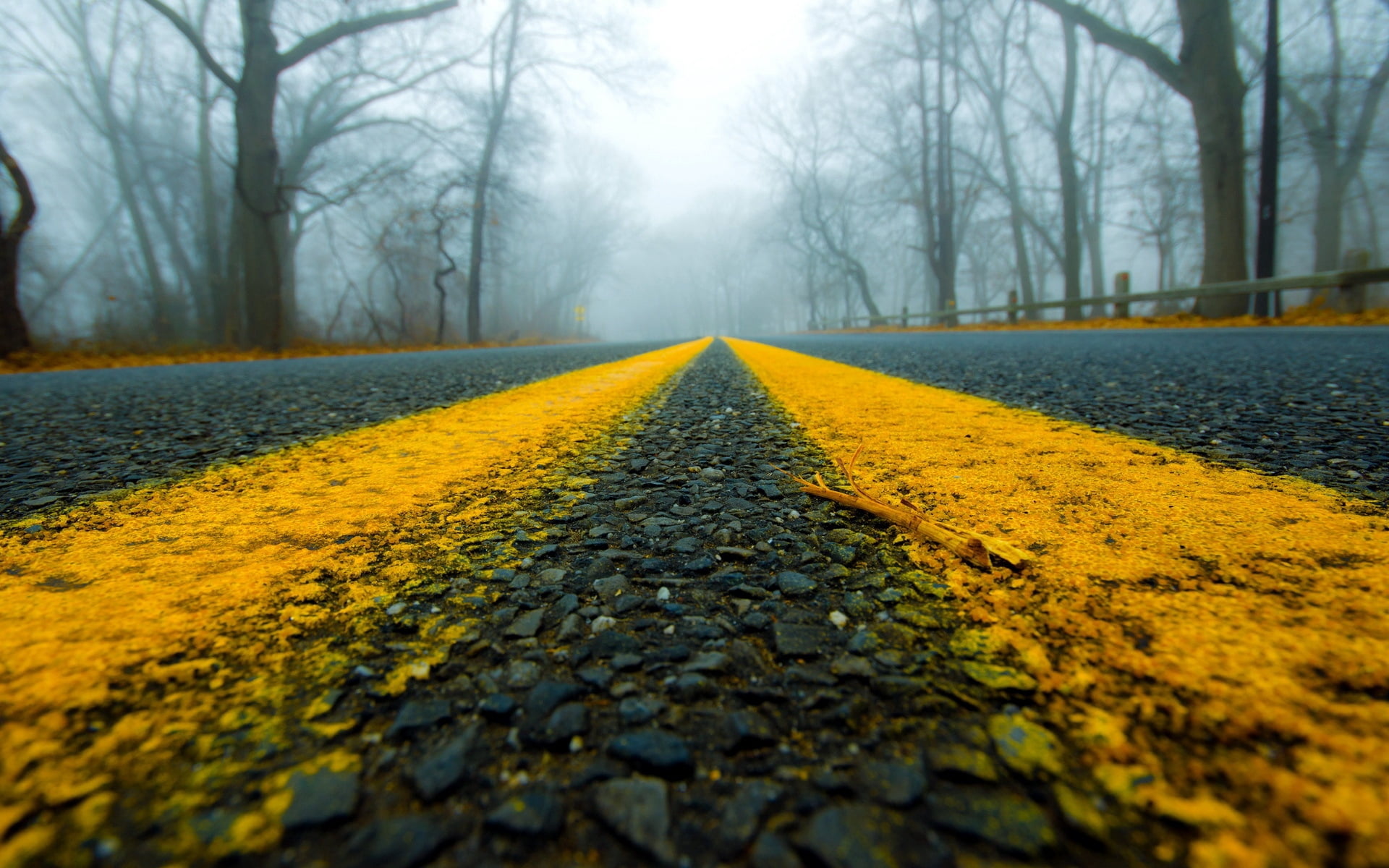 weather, transportation, scenics - nature, nature, autumn, landscape, green Color, tranquility, outdoors, beauty In Nature, footpath, direction, close-up, HD Wallpaper