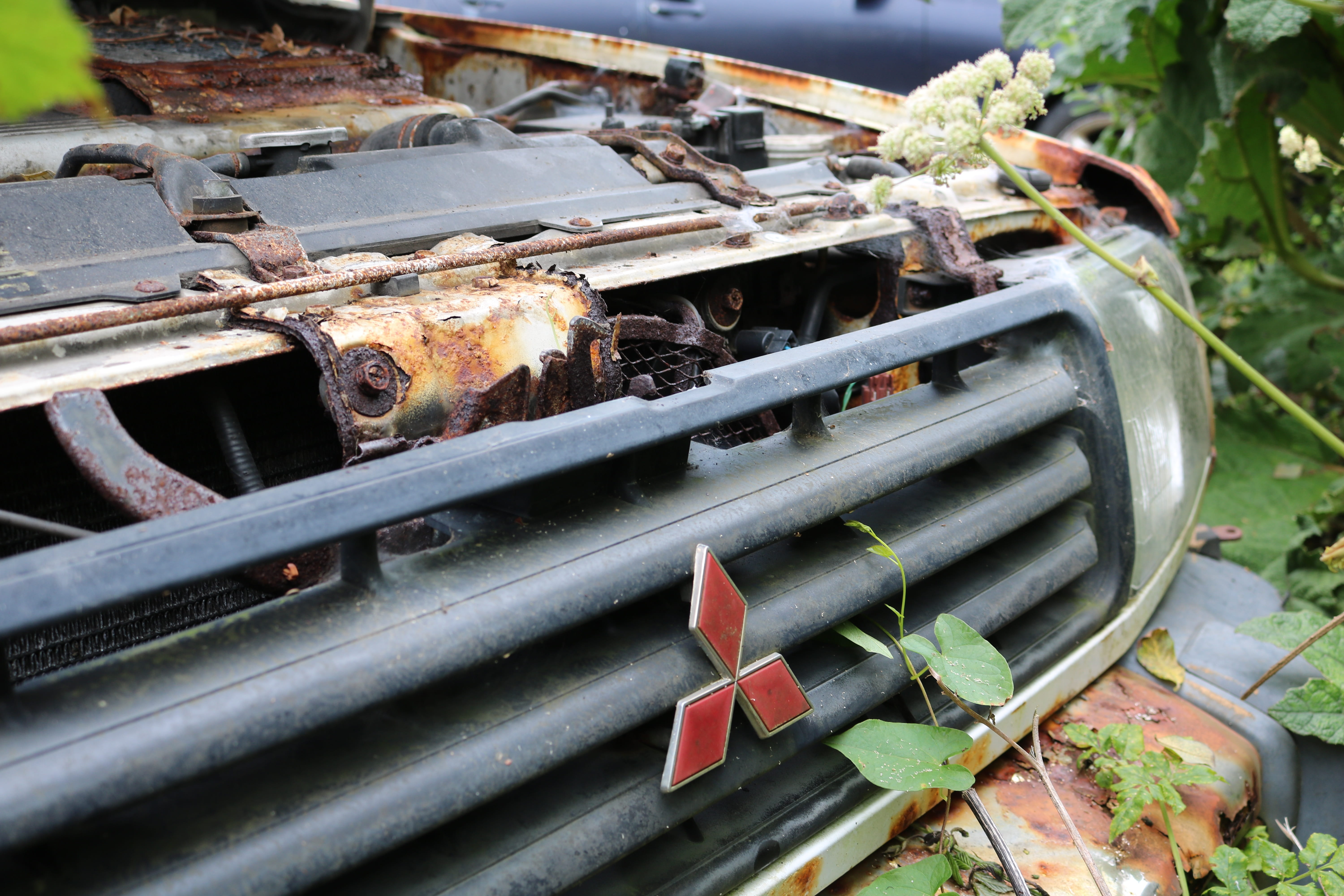 plant, transportation, car wreck, nature, mode of transportation, no people, deterioration, scrap car, old, close-up, day, stainless, abandoned, obsolete, HD Wallpaper