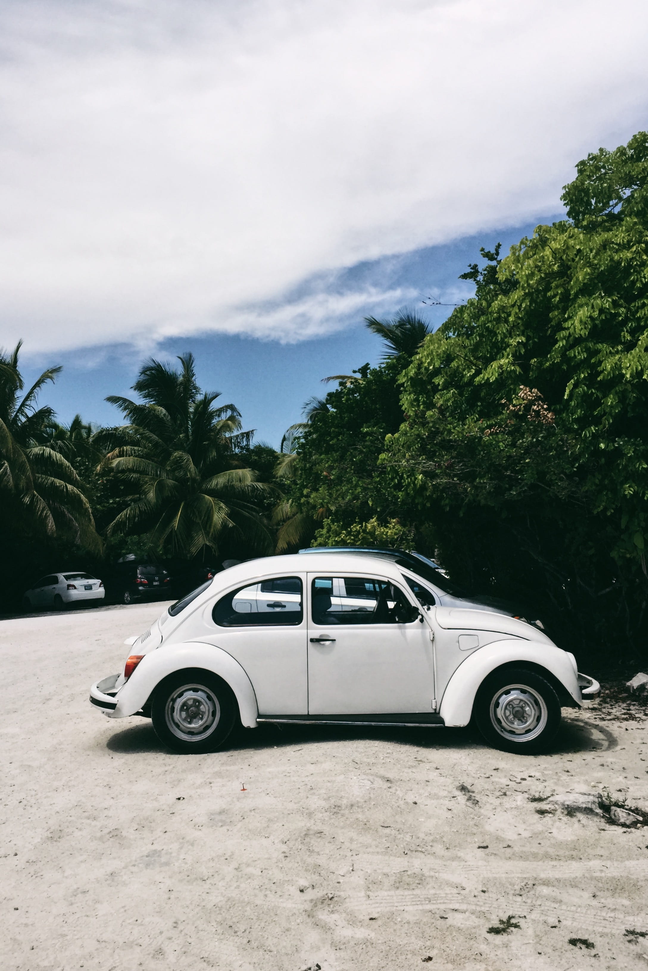 motor vehicle, no people, road trip, palm tree, luxury, blue, sky, trees, tropical climate, volkswagen, summer, day, tree, green, plant, clouds, 2K, mode of transportation, Phone HD Wallpaper