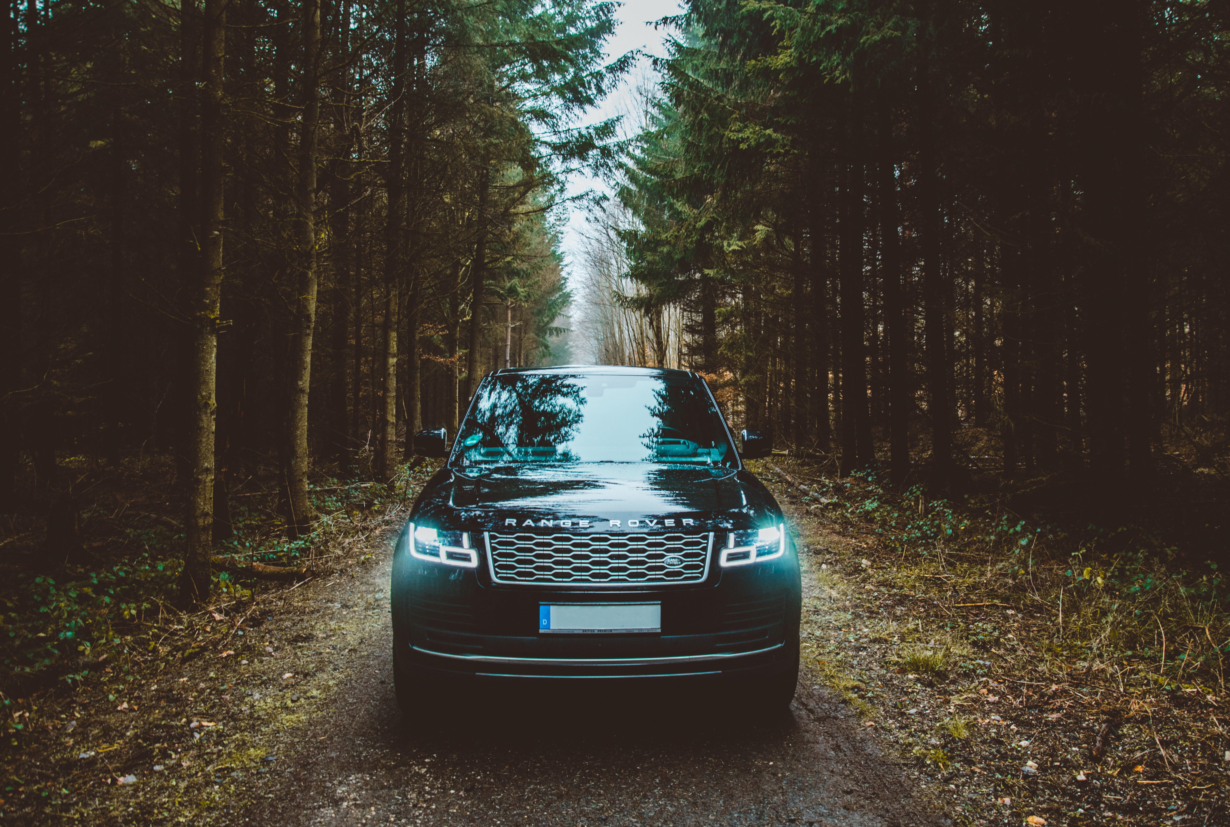 dirt, no people, land vehicle, mode of transportation, transportation, green, day, nature, suv, road, forest, growth, the way forward, tree trunk, woodland, HD Wallpaper
