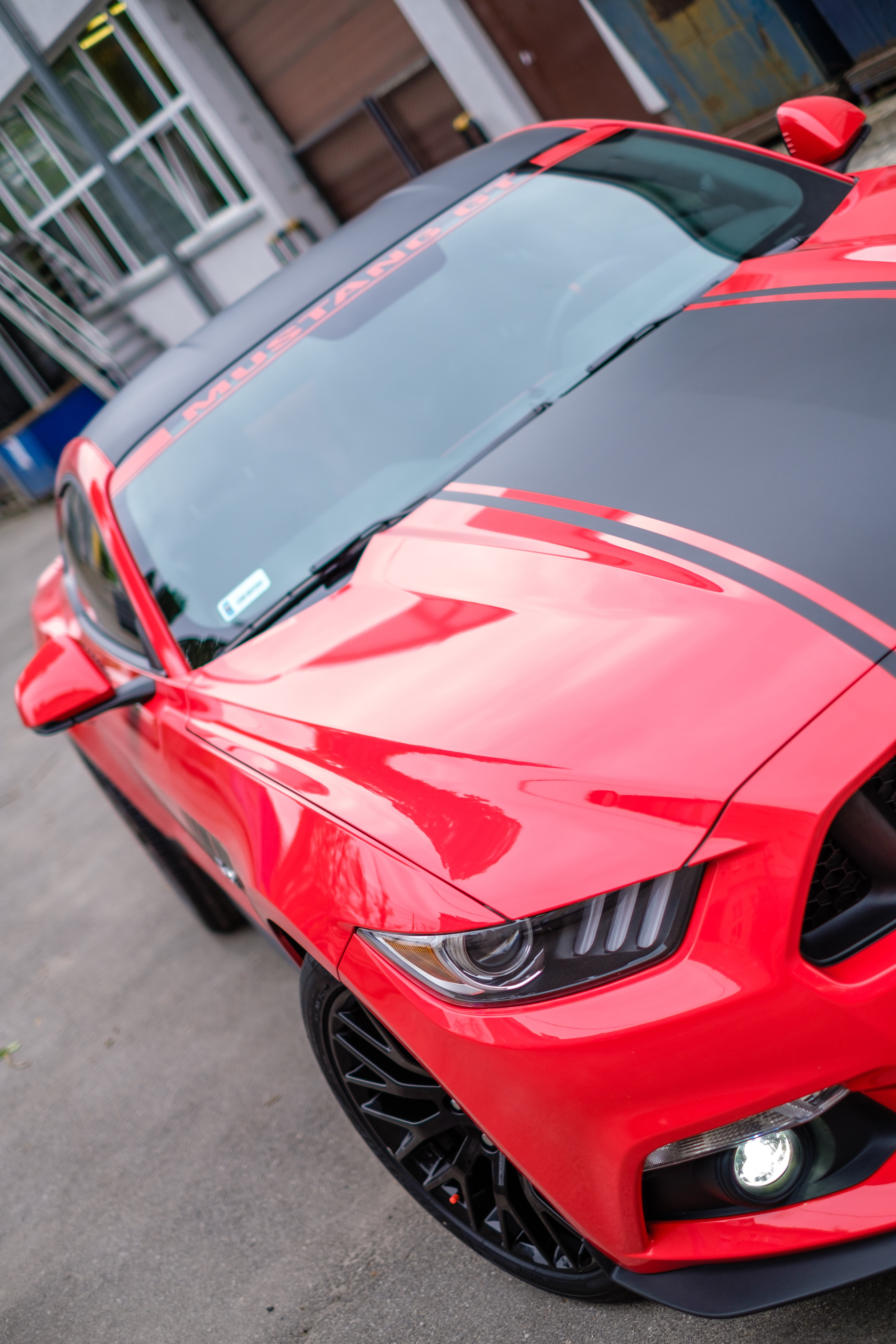 motorshow, street, mustang, show, car, tuning, modern, outdoors, city, day, stationary, speed, focus on foreground, limited, close-up, vechicle, sportscar, Phone HD Wallpaper