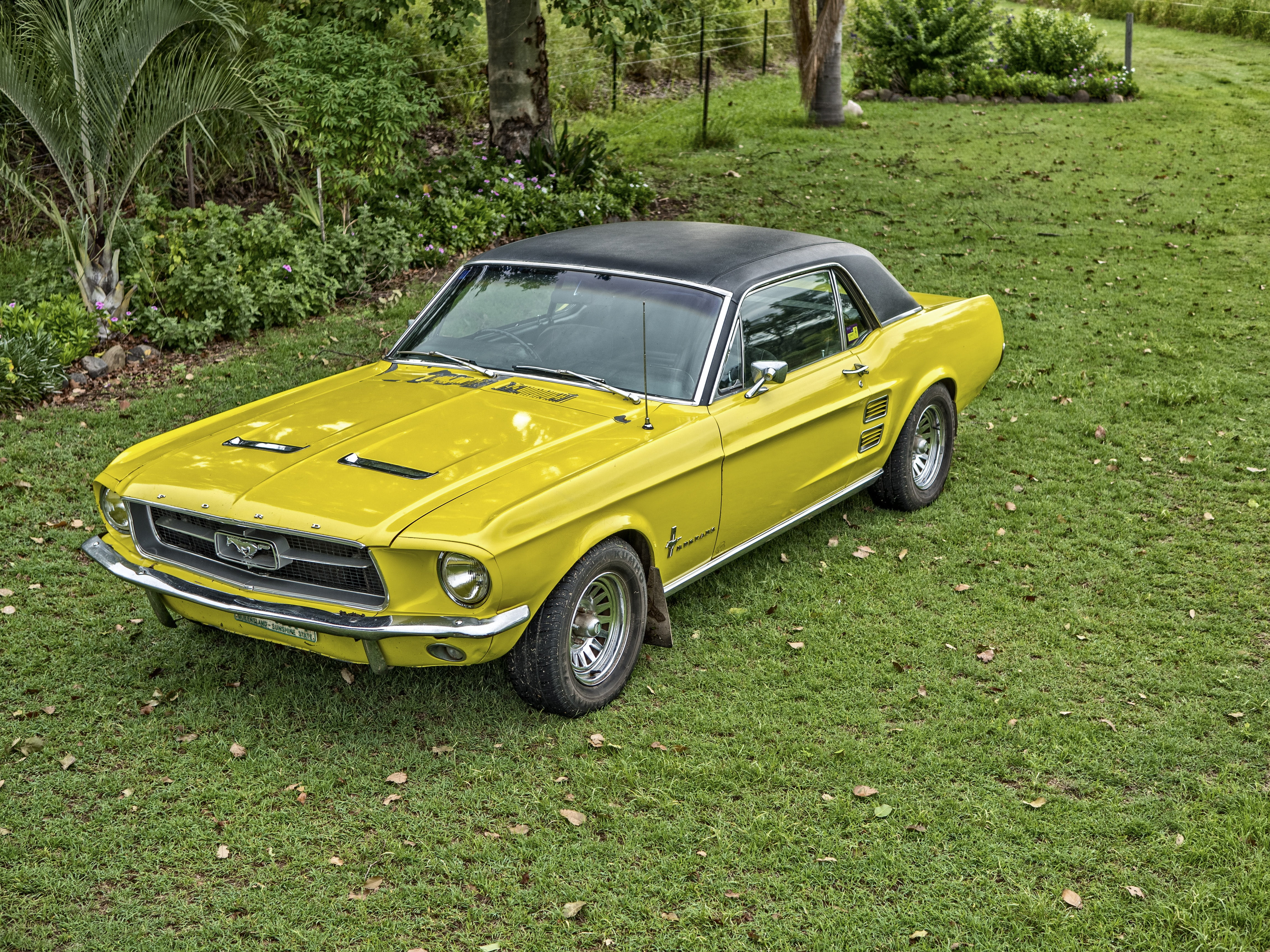 land, car, plant, vehicle, style, day, mustang, land vehicle, motor, speed, industry, vintage car, nature, field, future, motor vehicle, no people, model, HD Wallpaper