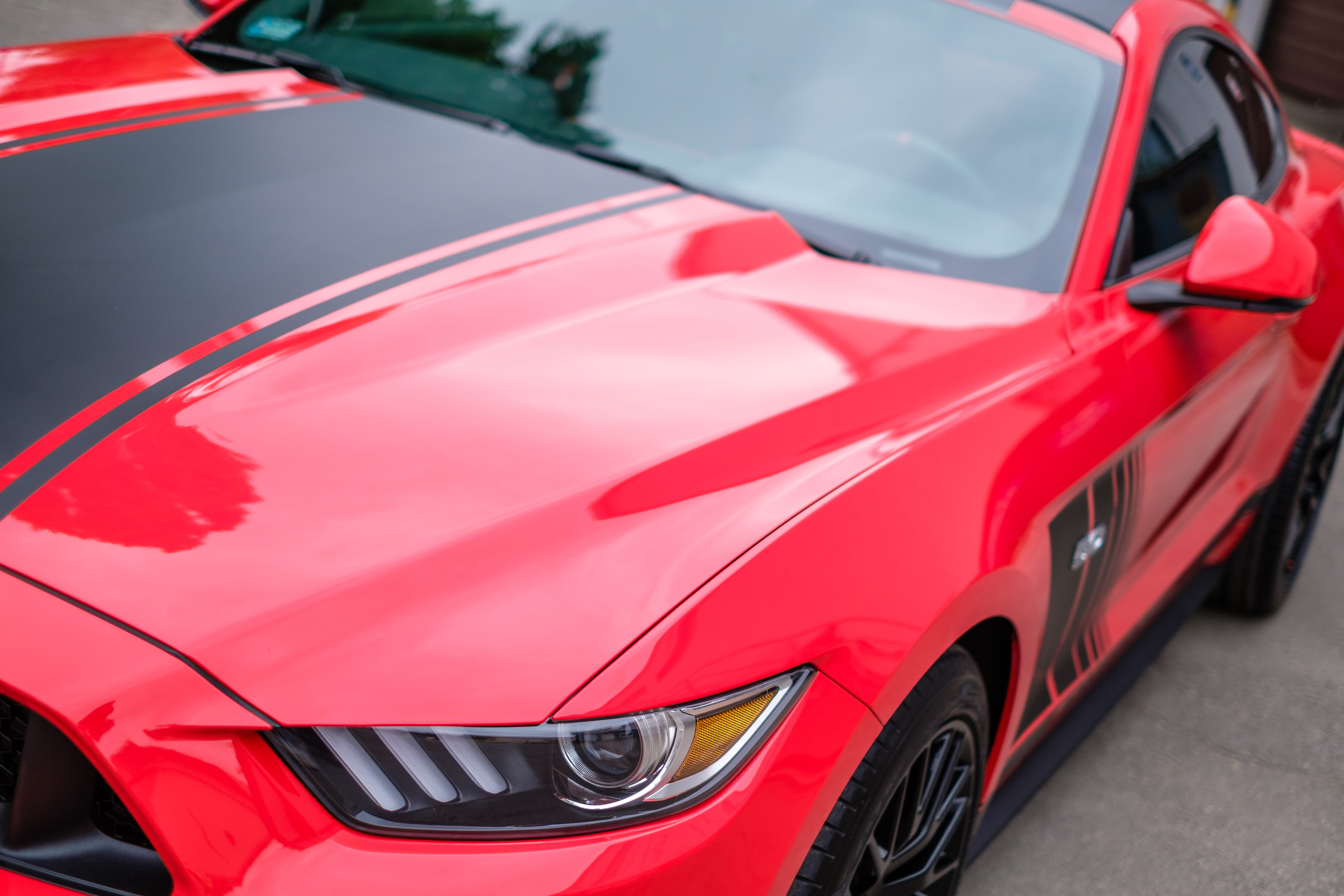 selling, business, design, vechicle, no people, gt, fast, Gt, retail, mechanic, Usa, outdoors, personal land vehicle, city, wealth, mustang, speed, limited, HD Wallpaper